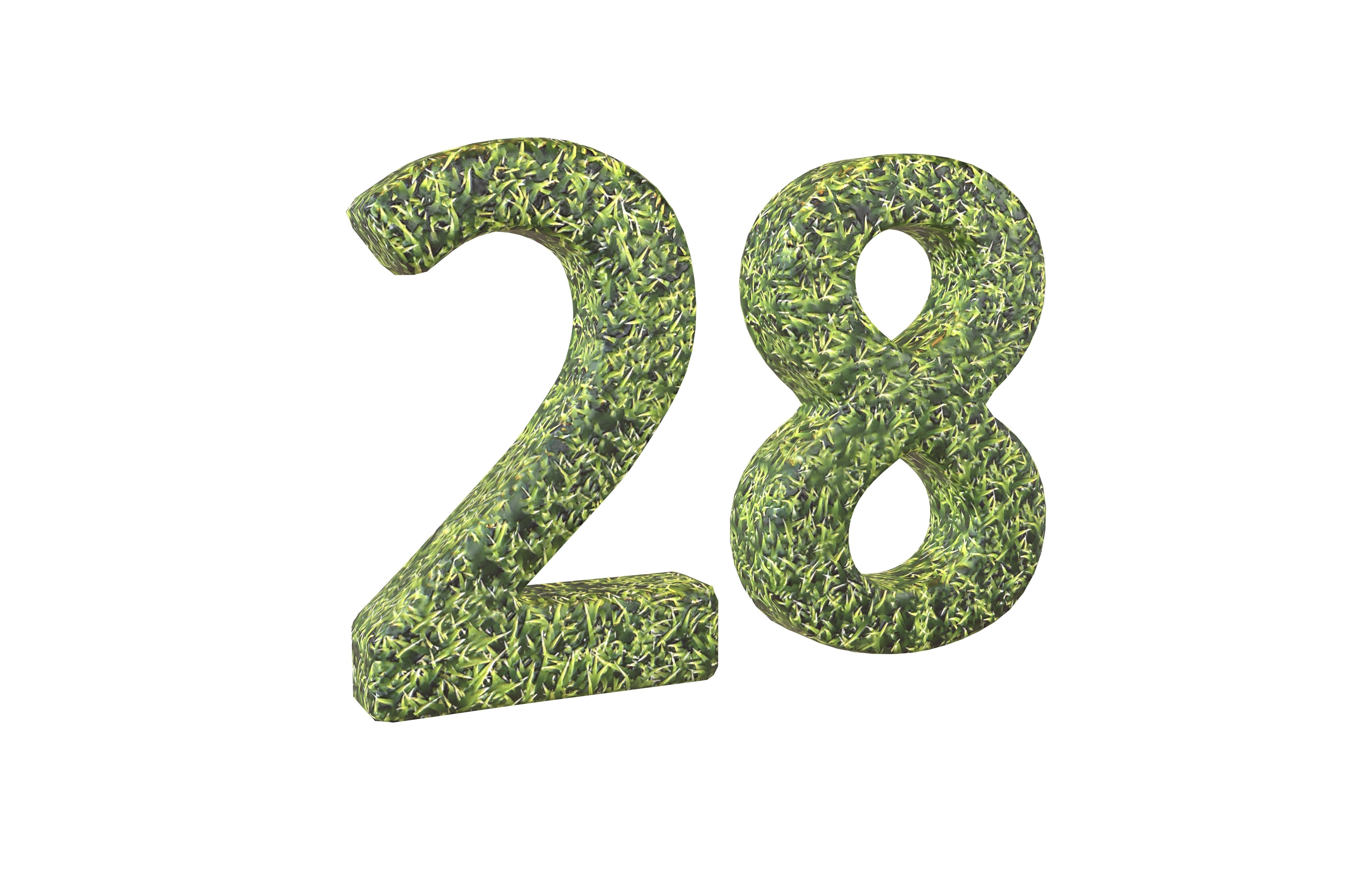 Grass Date Number Pack Vol 1 Low-poly 3D model_123