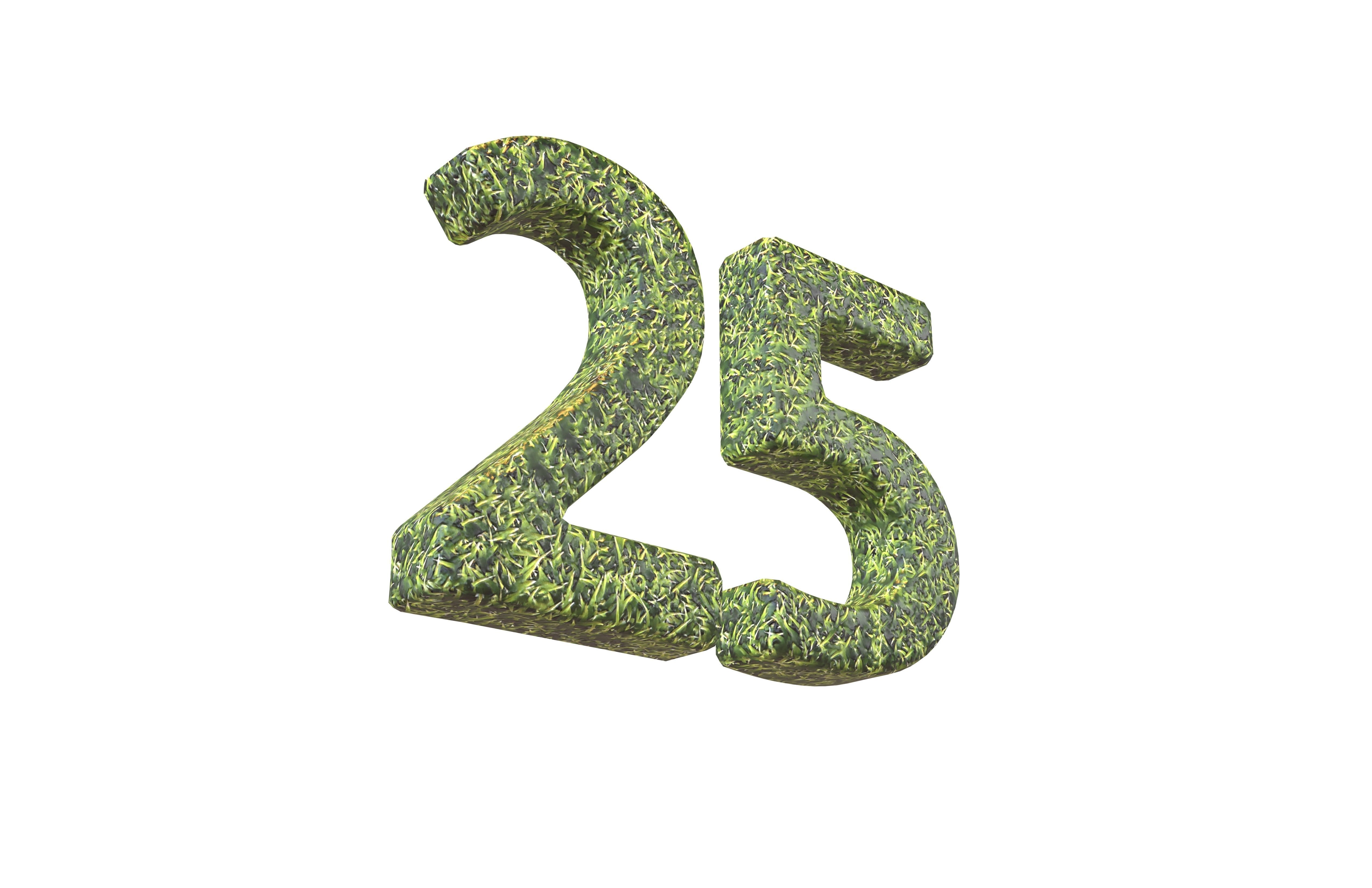 Grass Date Number Pack Vol 1 Low-poly 3D model_112