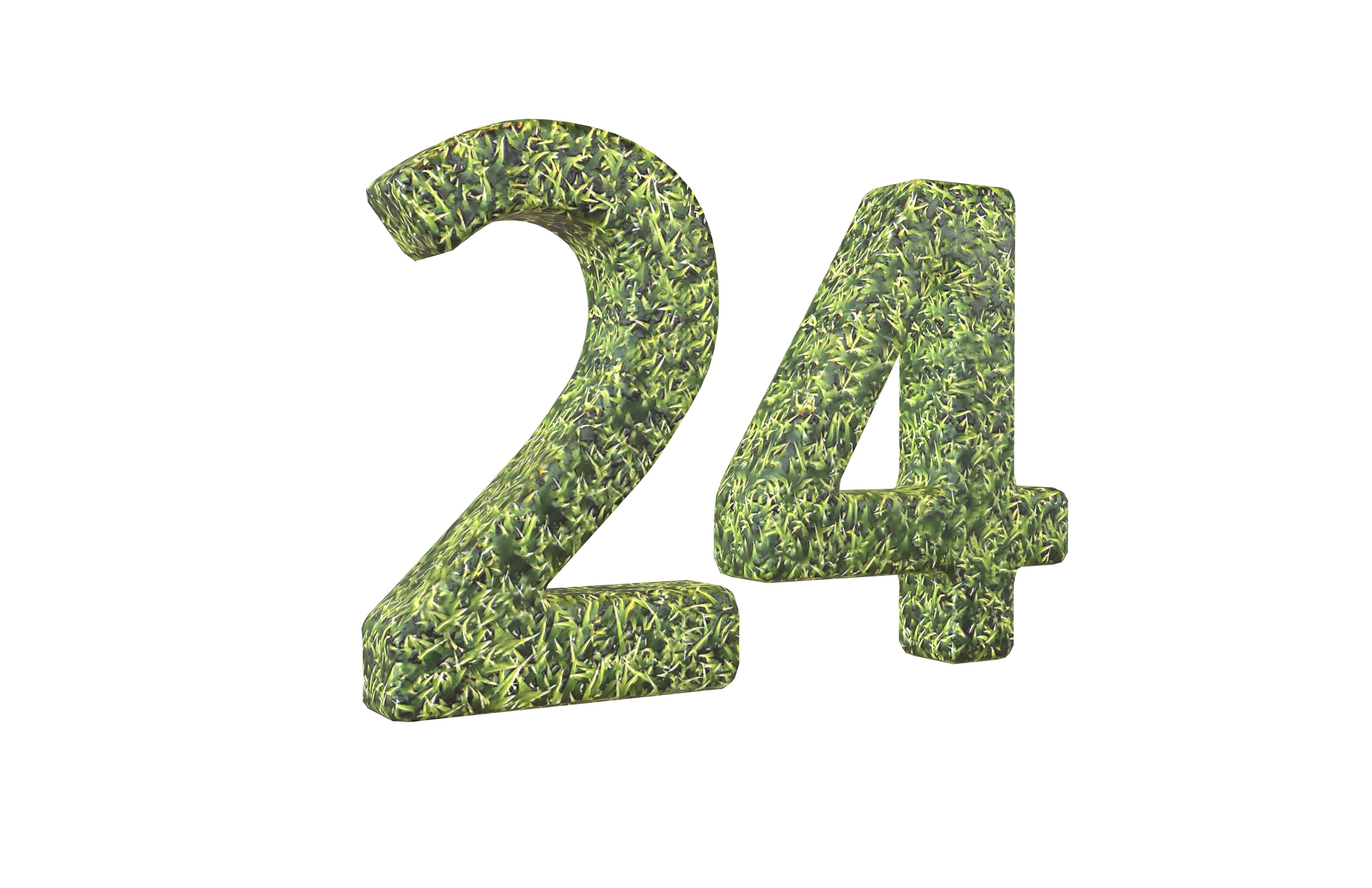 Grass Date Number Pack Vol 1 Low-poly 3D model_110