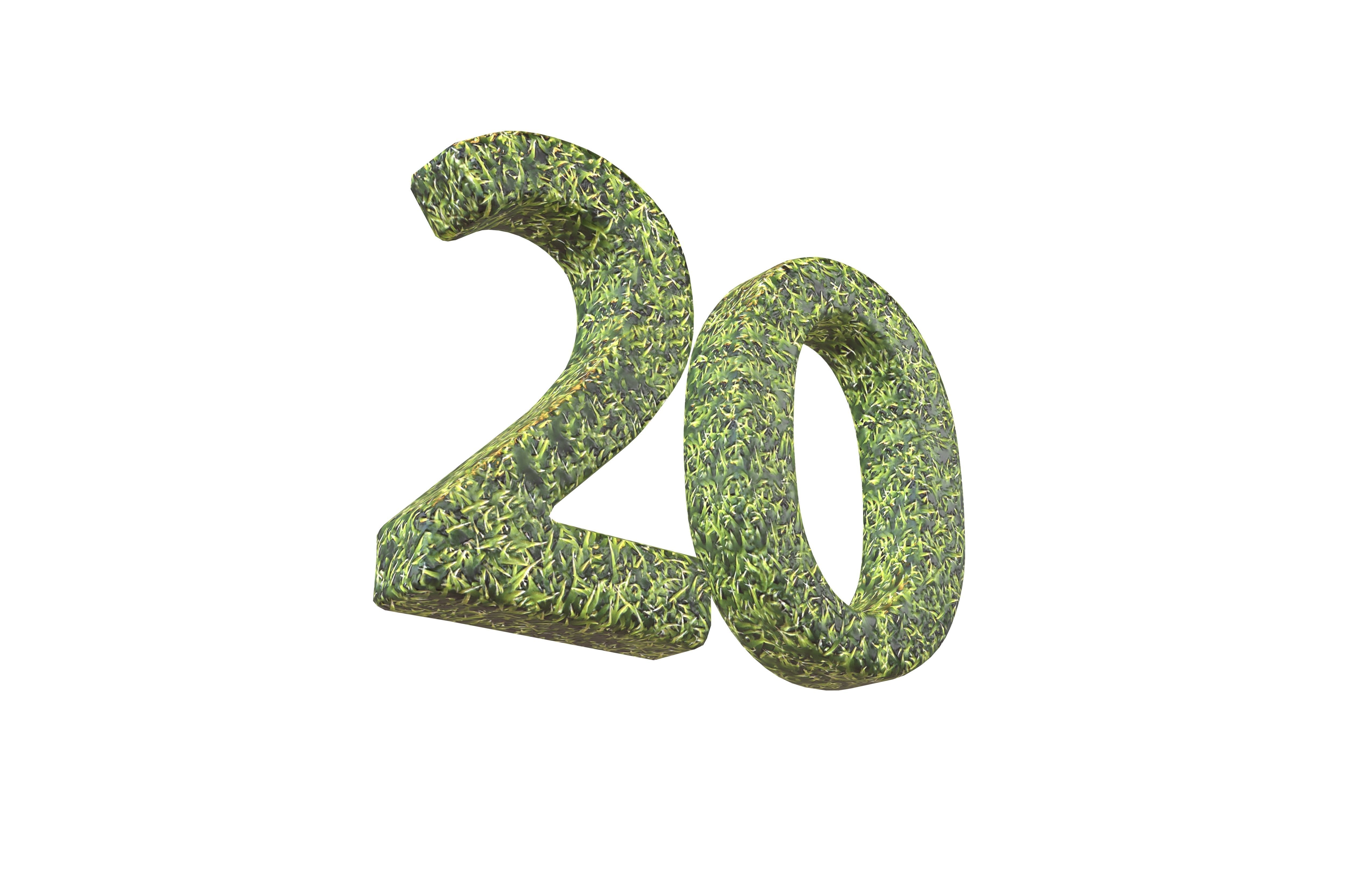 Grass Date Number Pack Vol 1 Low-poly 3D model_101