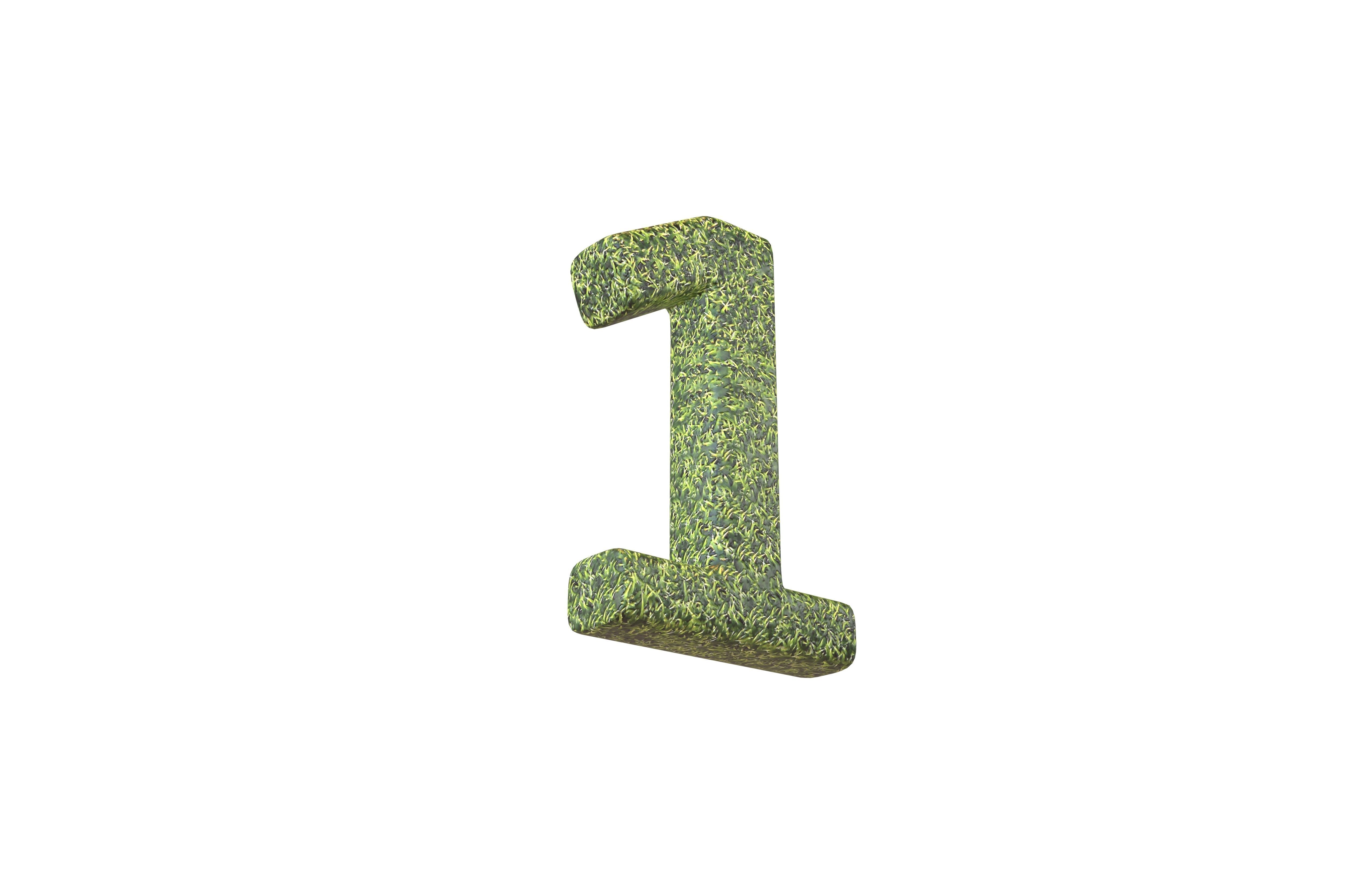 Grass Date Number Pack Vol 1 Low-poly 3D model_12