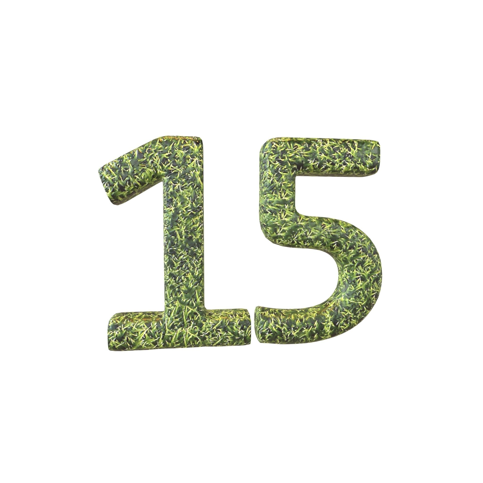 Grass Date Number Pack Vol 1 Low-poly 3D model_49