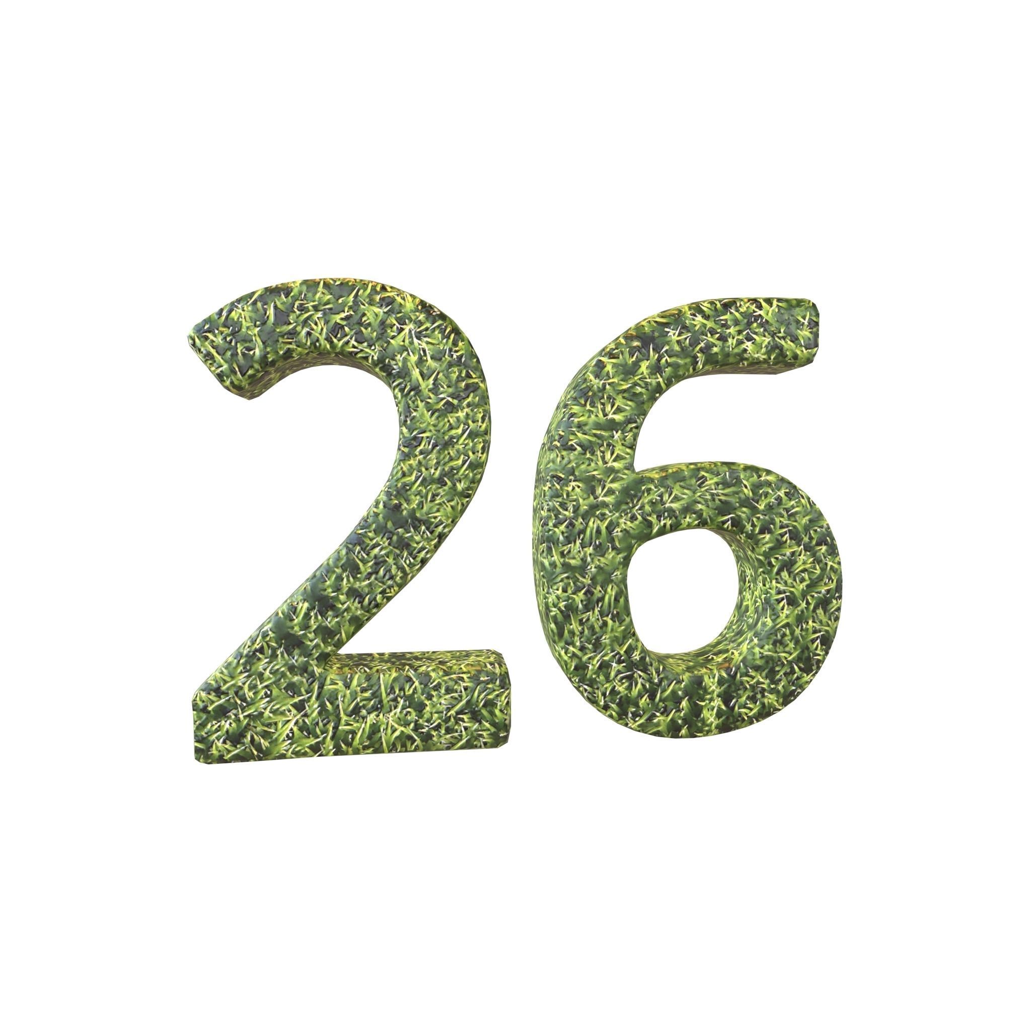 Grass Date Number Pack Vol 1 Low-poly 3D model_71