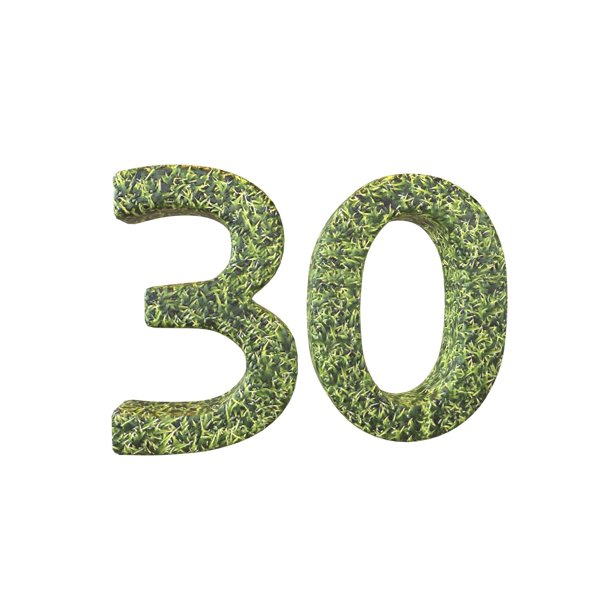 Grass Date Number Pack Vol 1 Low-poly 3D model_76