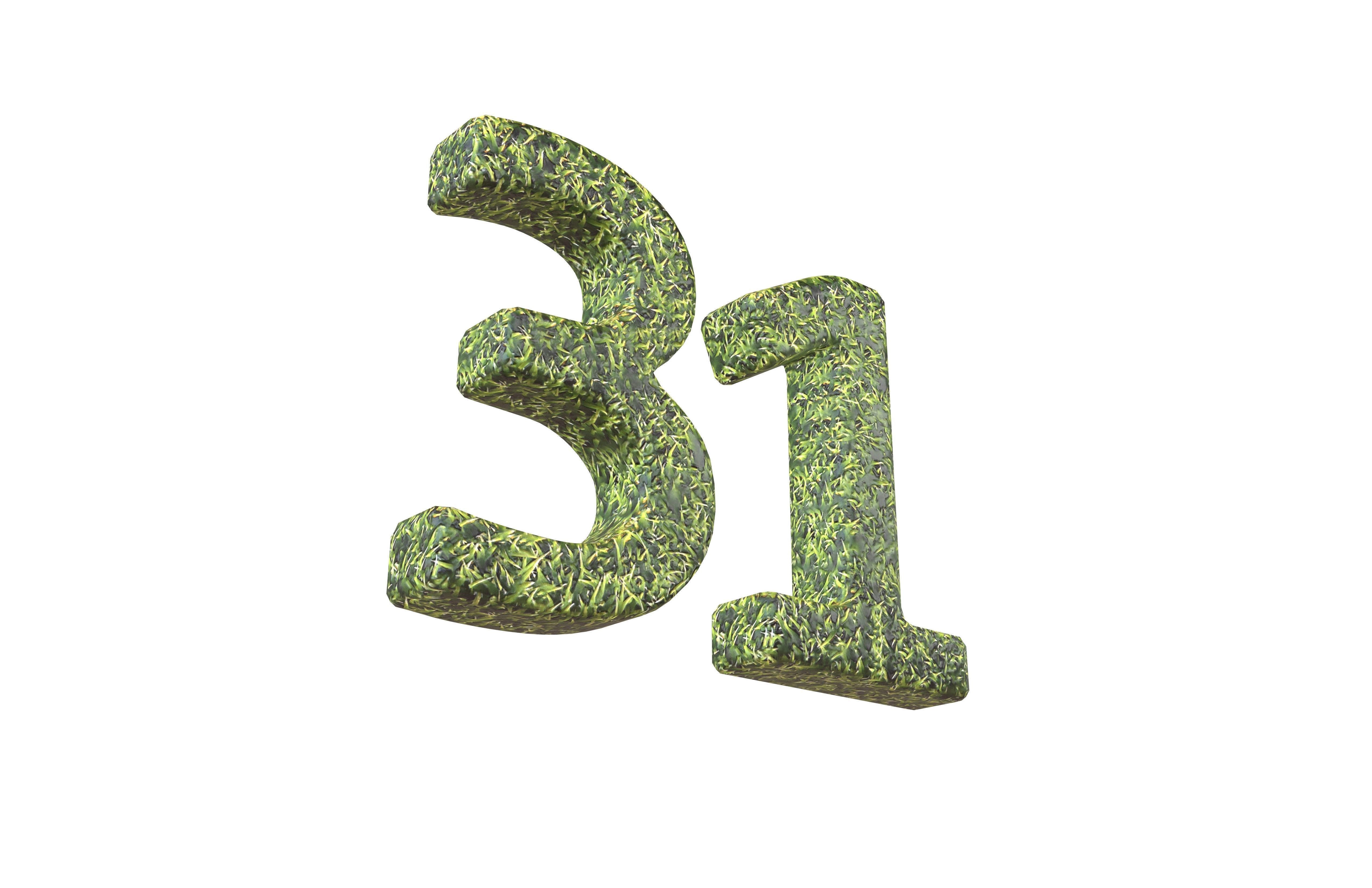 Grass Date Number Pack Vol 1 Low-poly 3D model_100