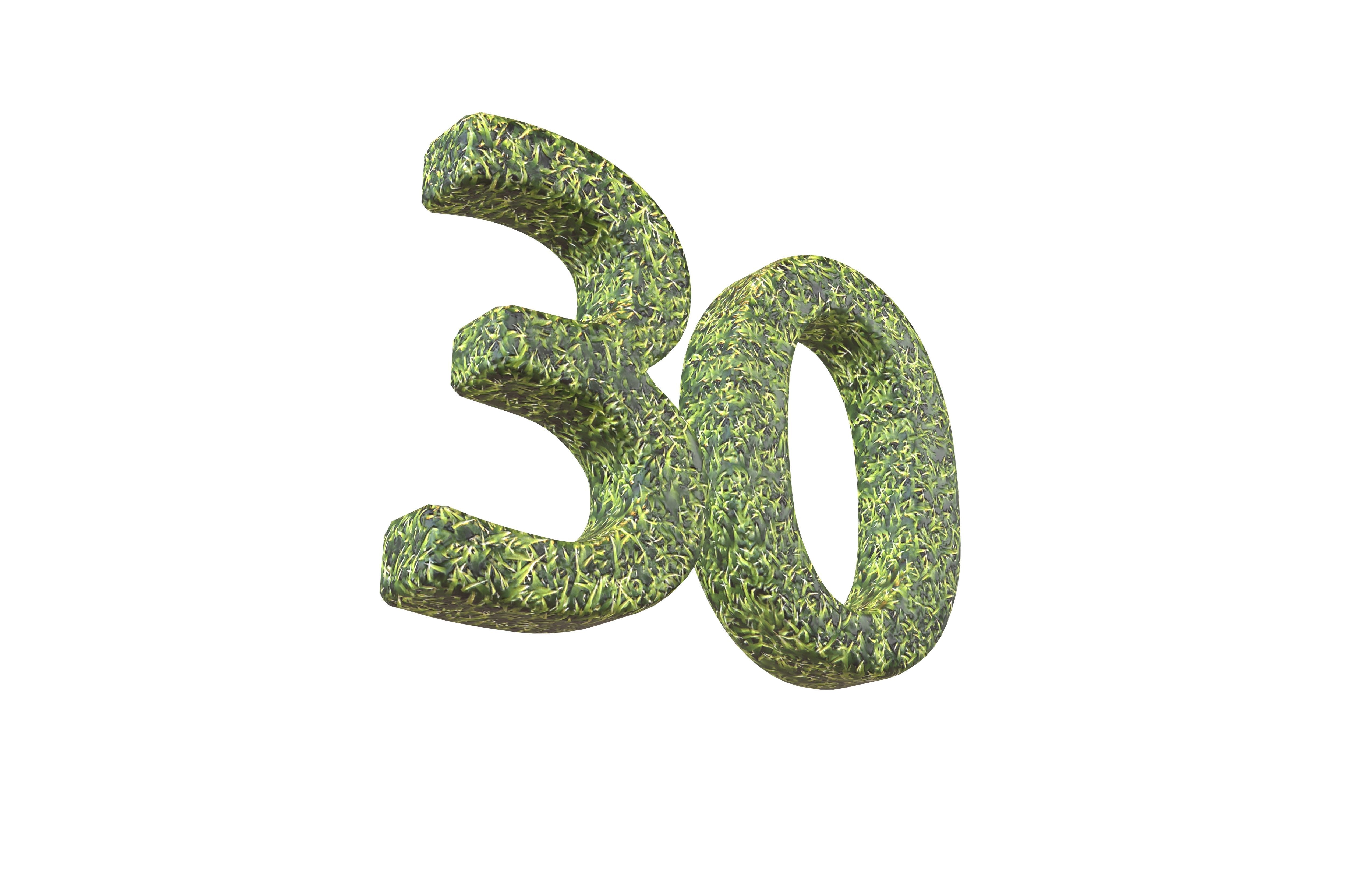Grass Date Number Pack Vol 1 Low-poly 3D model_127