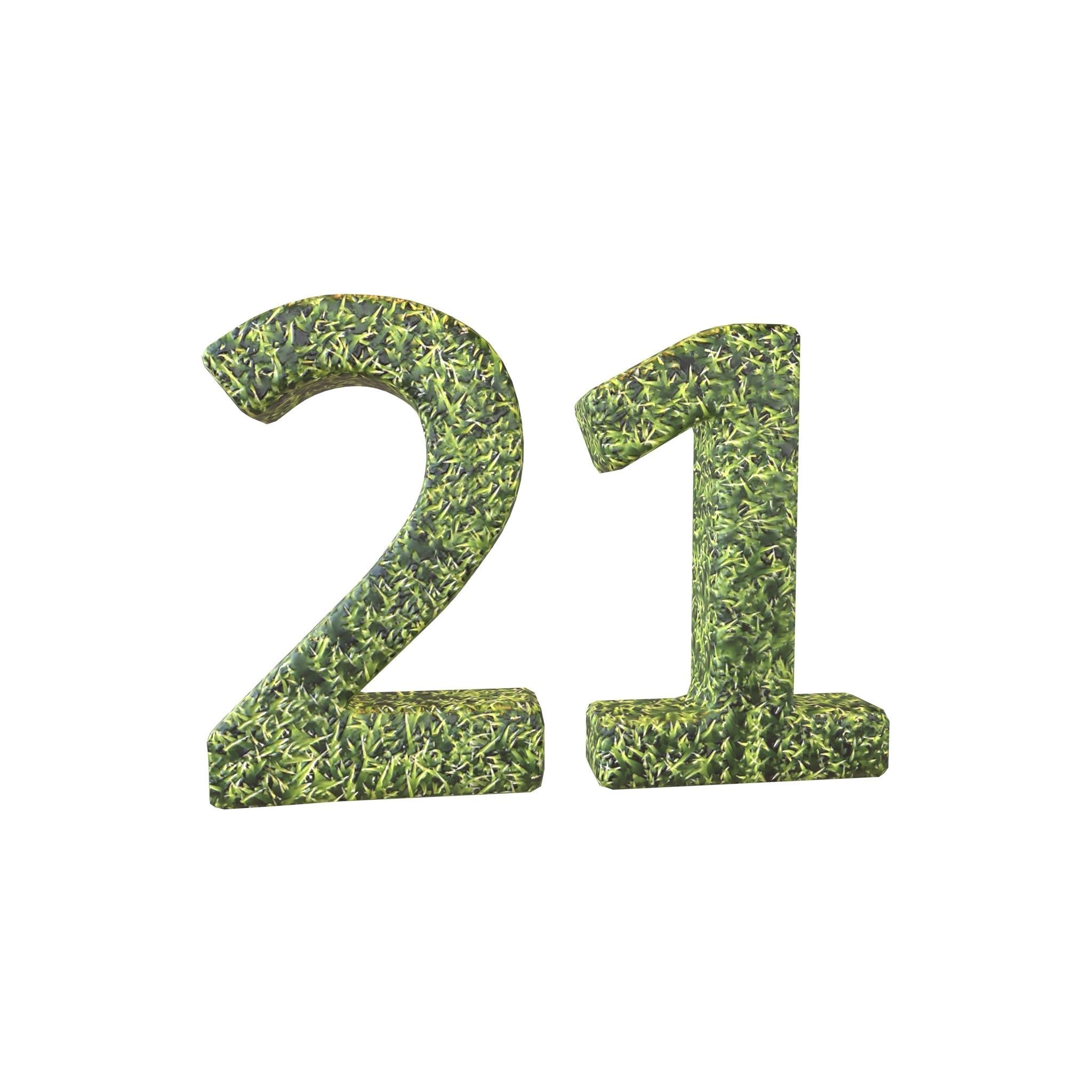 Grass Date Number Pack Vol 1 Low-poly 3D model_67