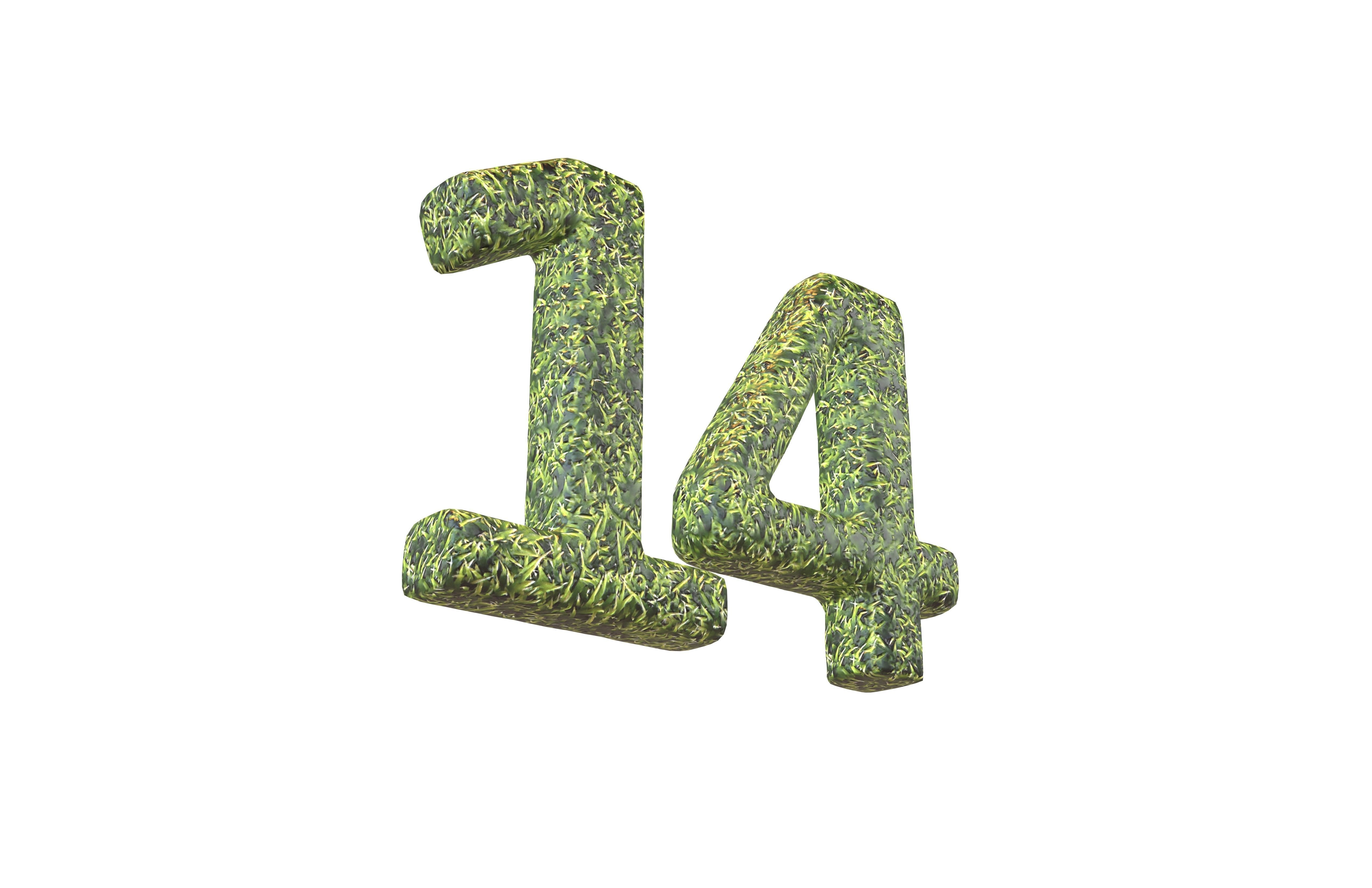 Grass Date Number Pack Vol 1 Low-poly 3D model_89