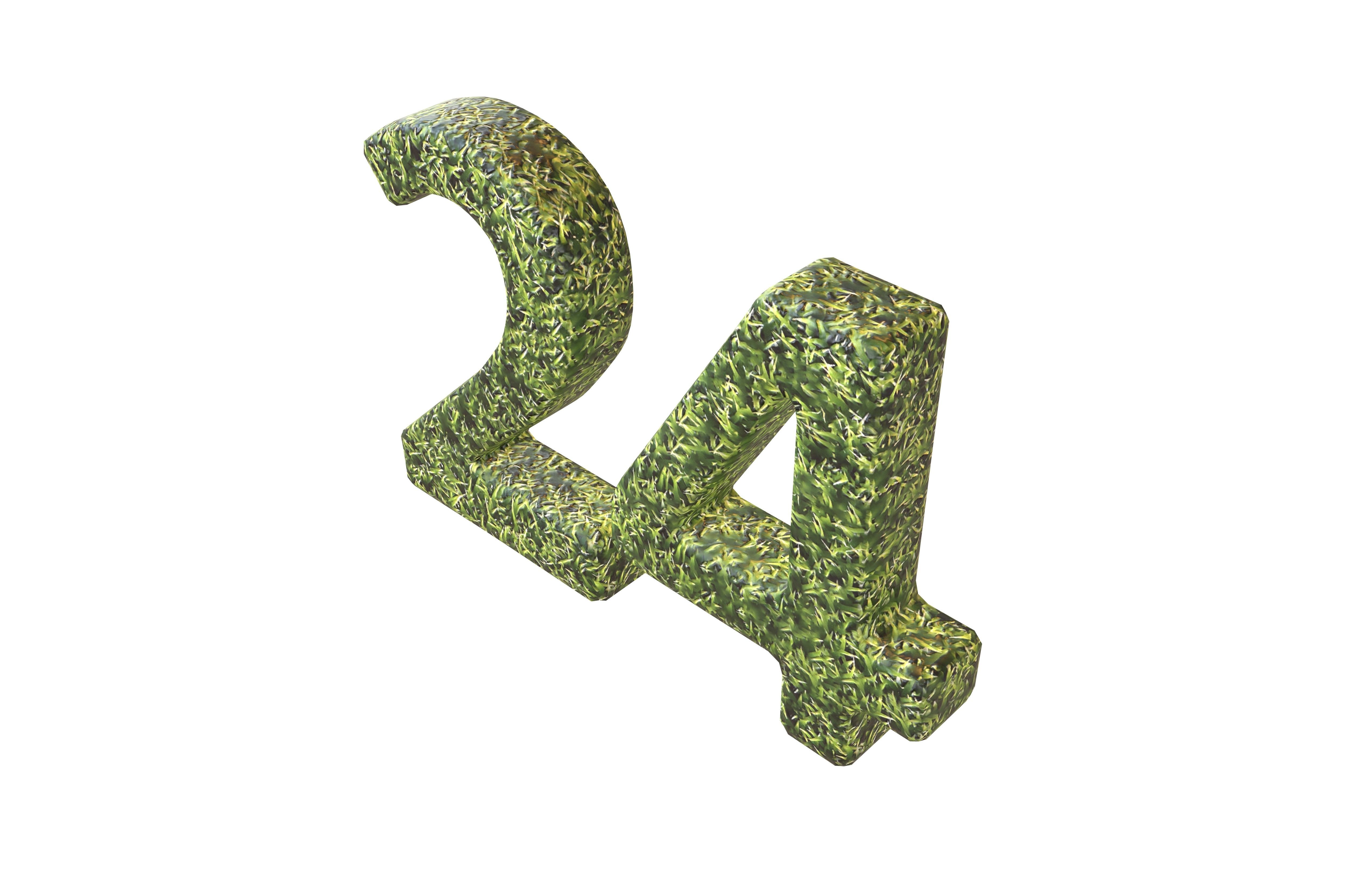 Grass Date Number Pack Vol 1 Low-poly 3D model_109