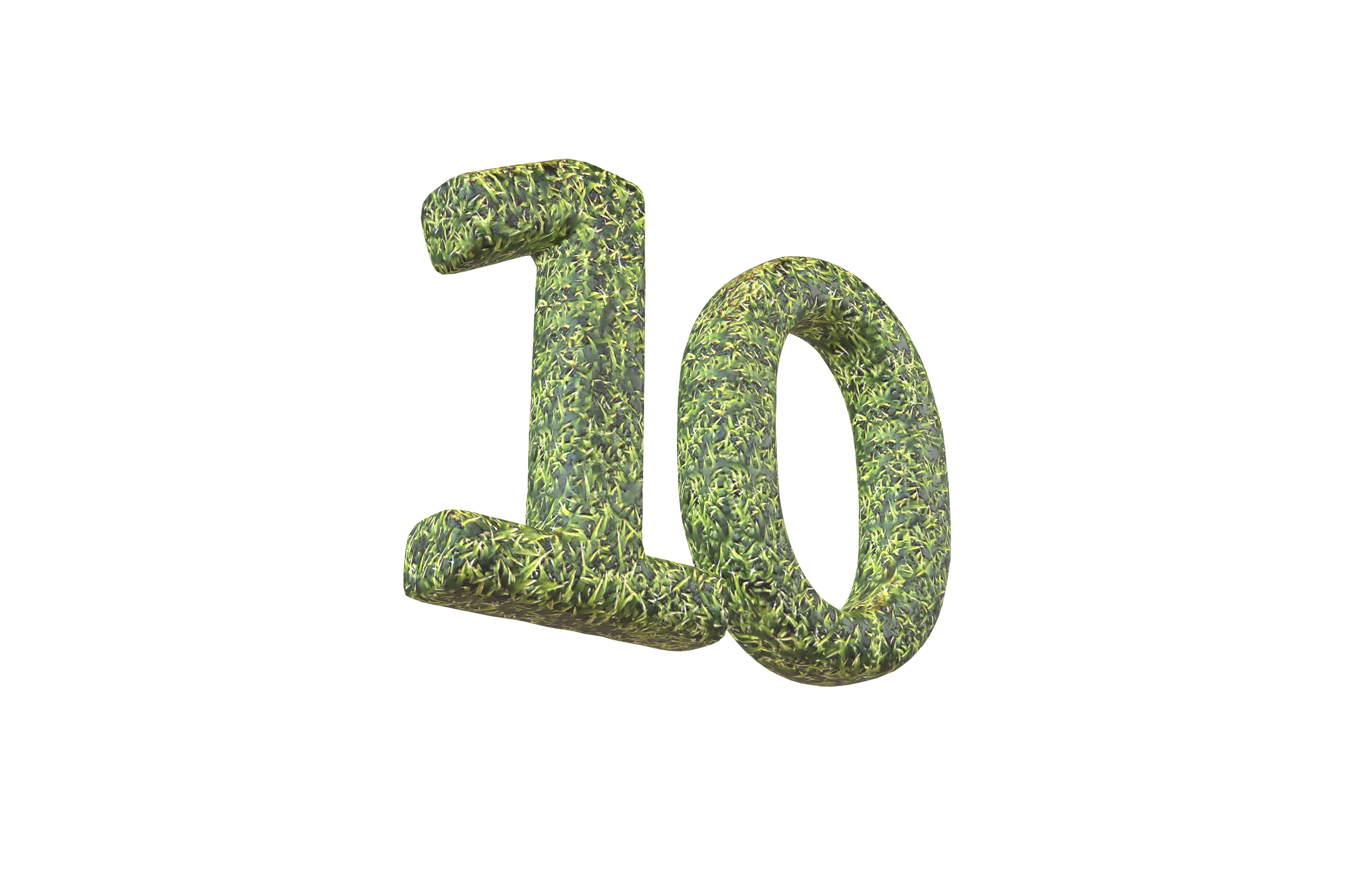 Grass Date Number Pack Vol 1 Low-poly 3D model_81