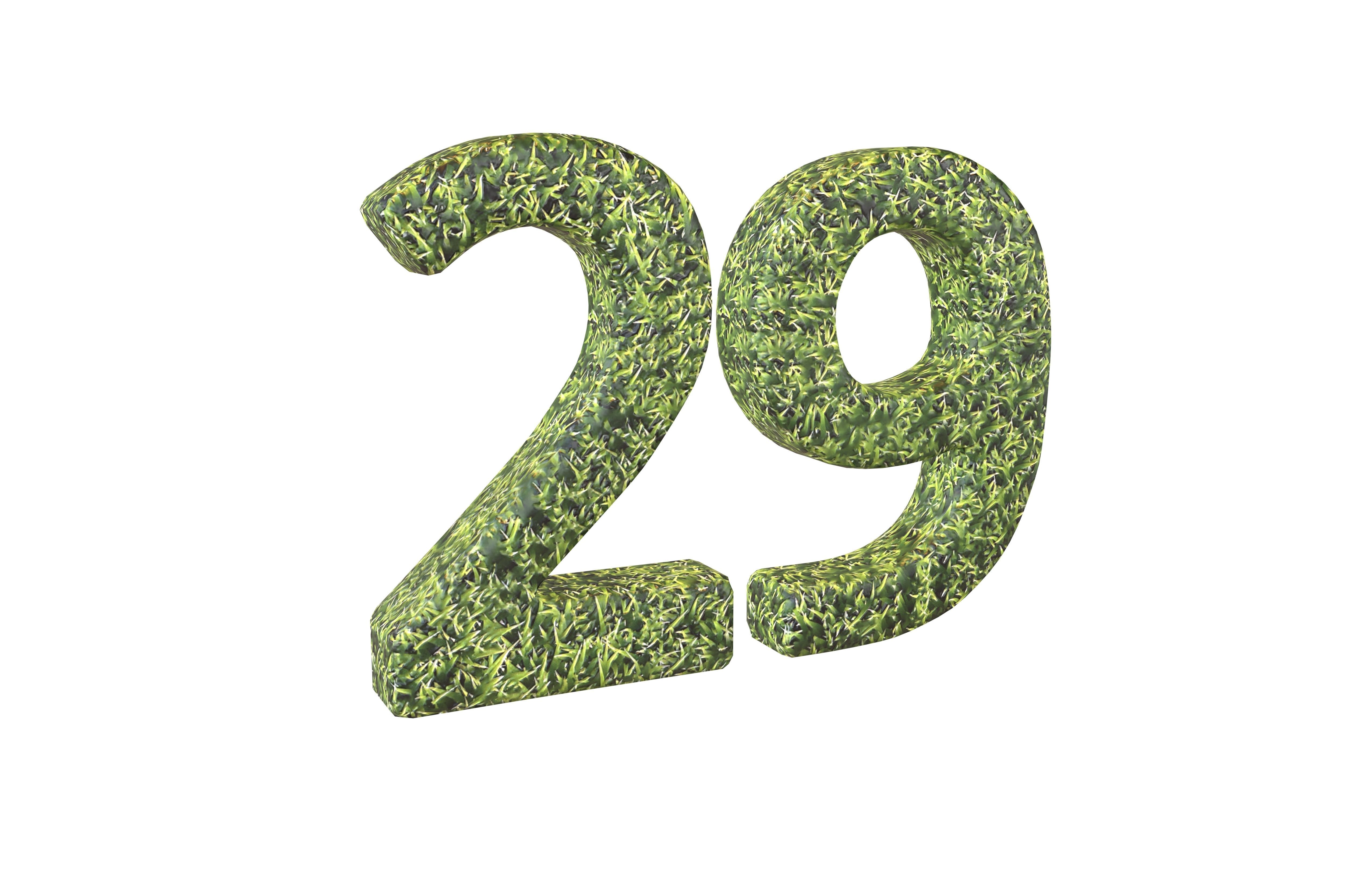 Grass Date Number Pack Vol 1 Low-poly 3D model_128