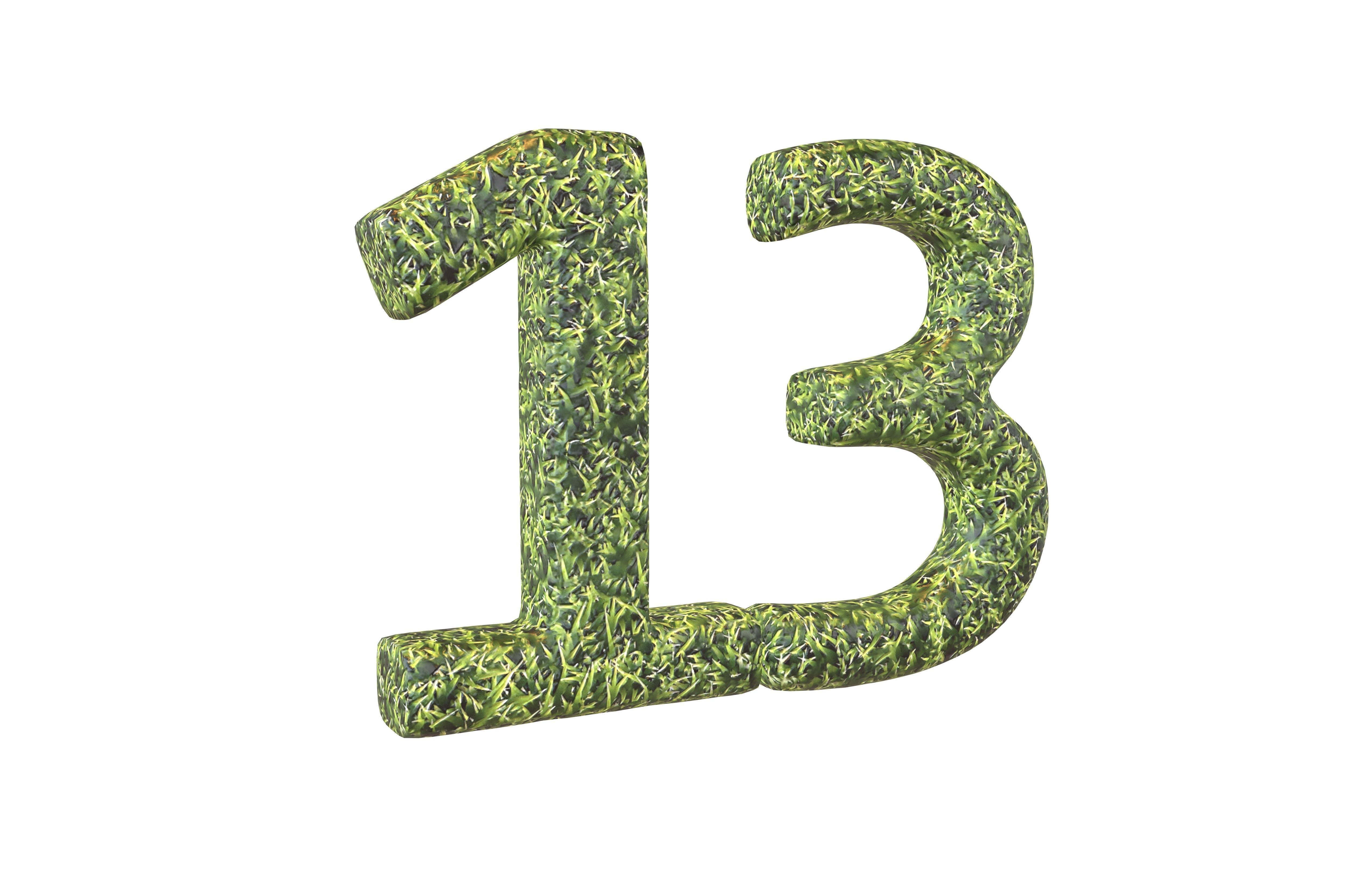 Grass Date Number Pack Vol 1 Low-poly 3D model_2