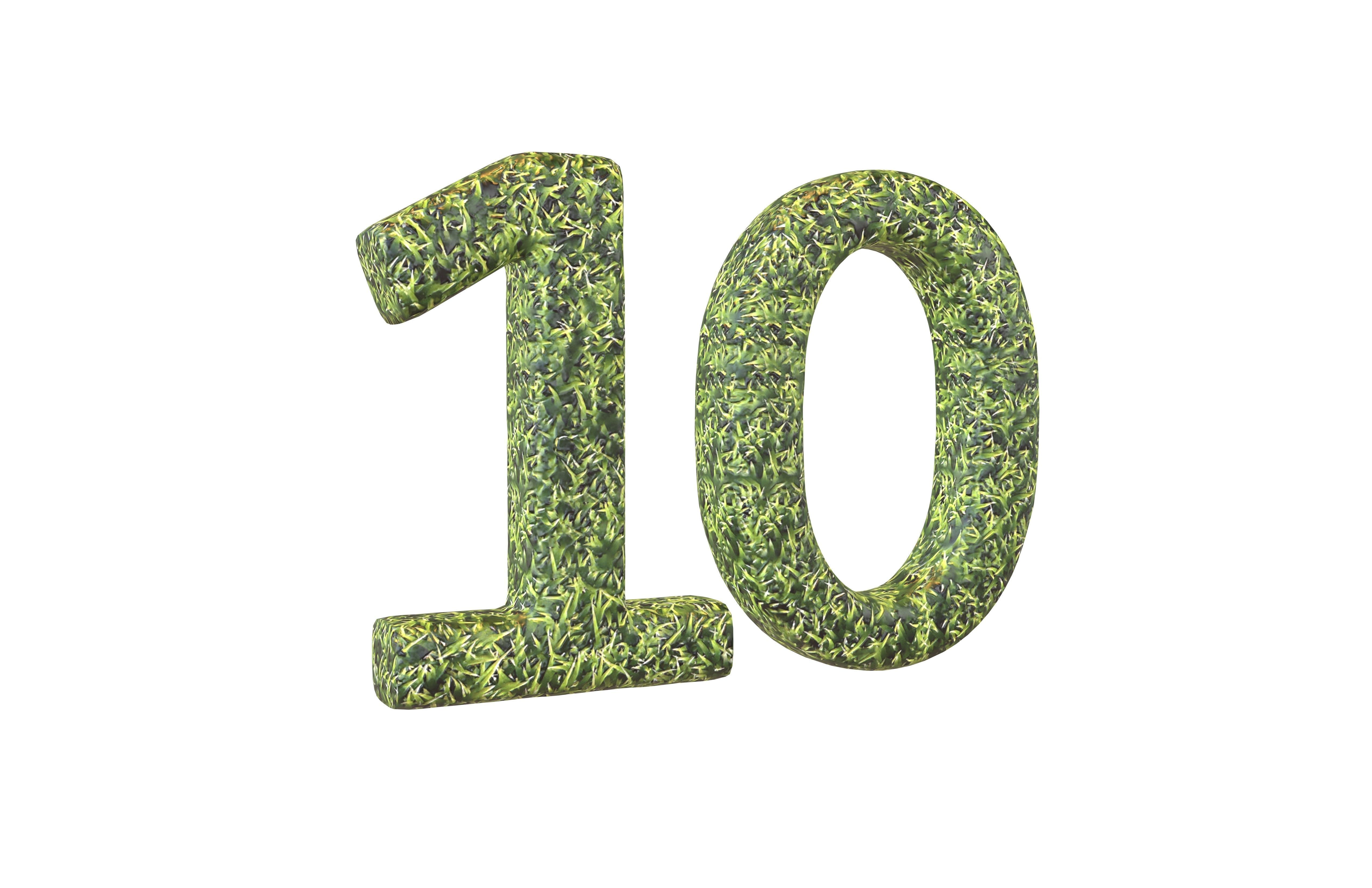 Grass Date Number Pack Vol 1 Low-poly 3D model_80