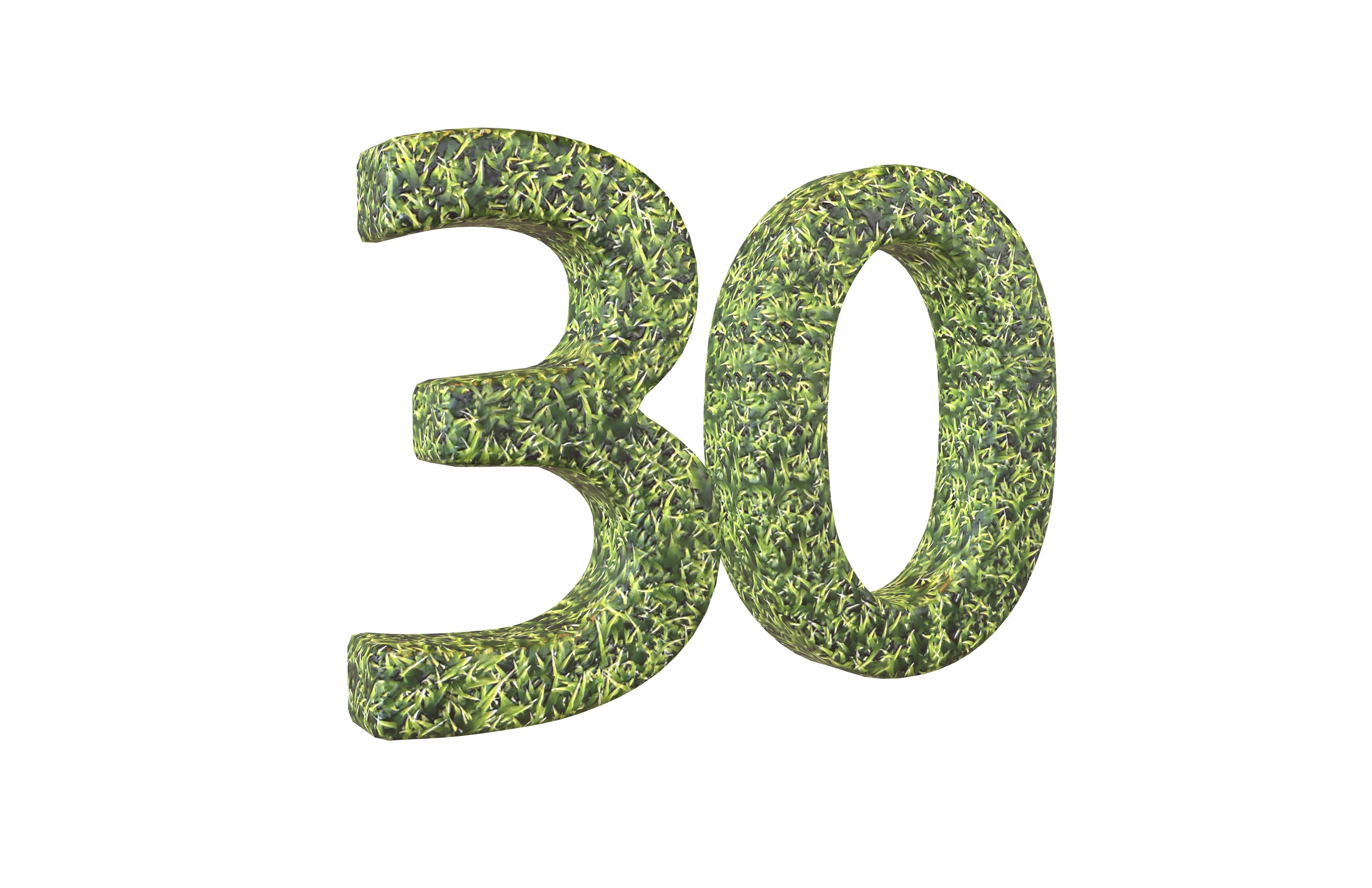 Grass Date Number Pack Vol 1 Low-poly 3D model_126