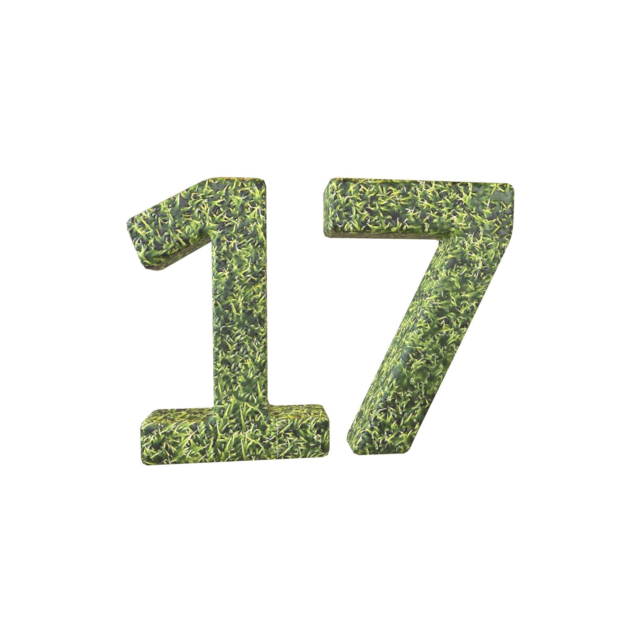 Grass Date Number Pack Vol 1 Low-poly 3D model_54