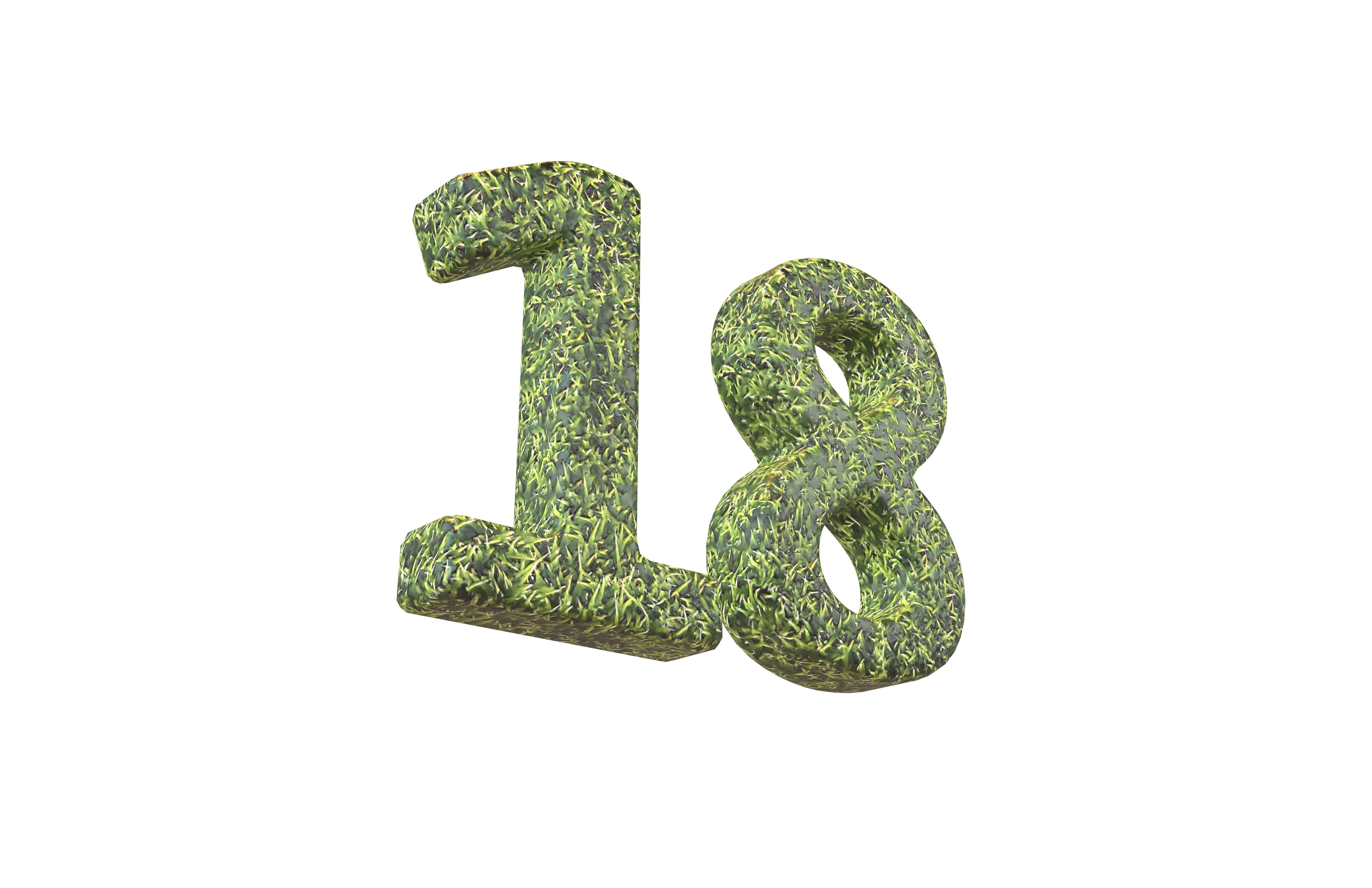 Grass Date Number Pack Vol 1 Low-poly 3D model_96