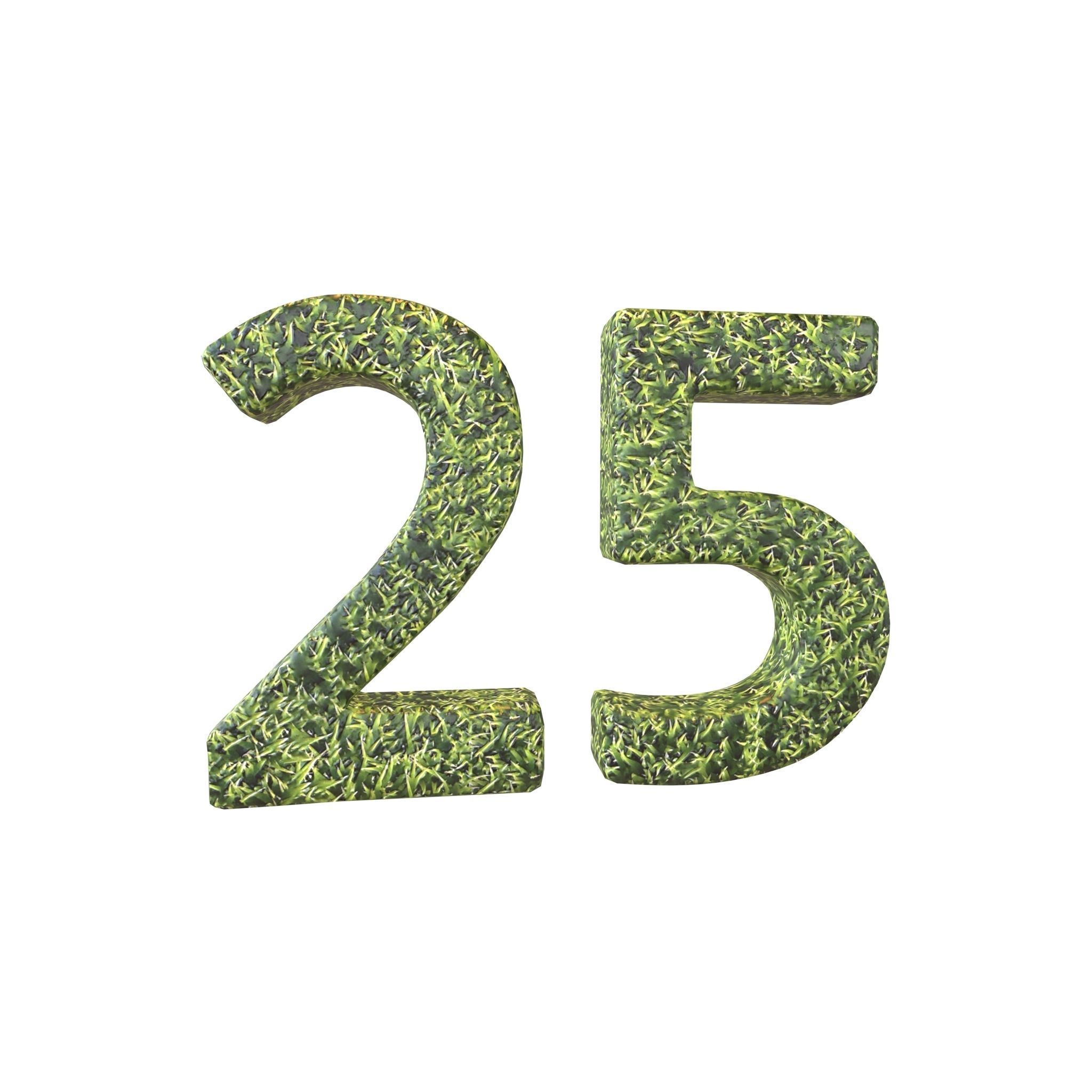 Grass Date Number Pack Vol 1 Low-poly 3D model_70
