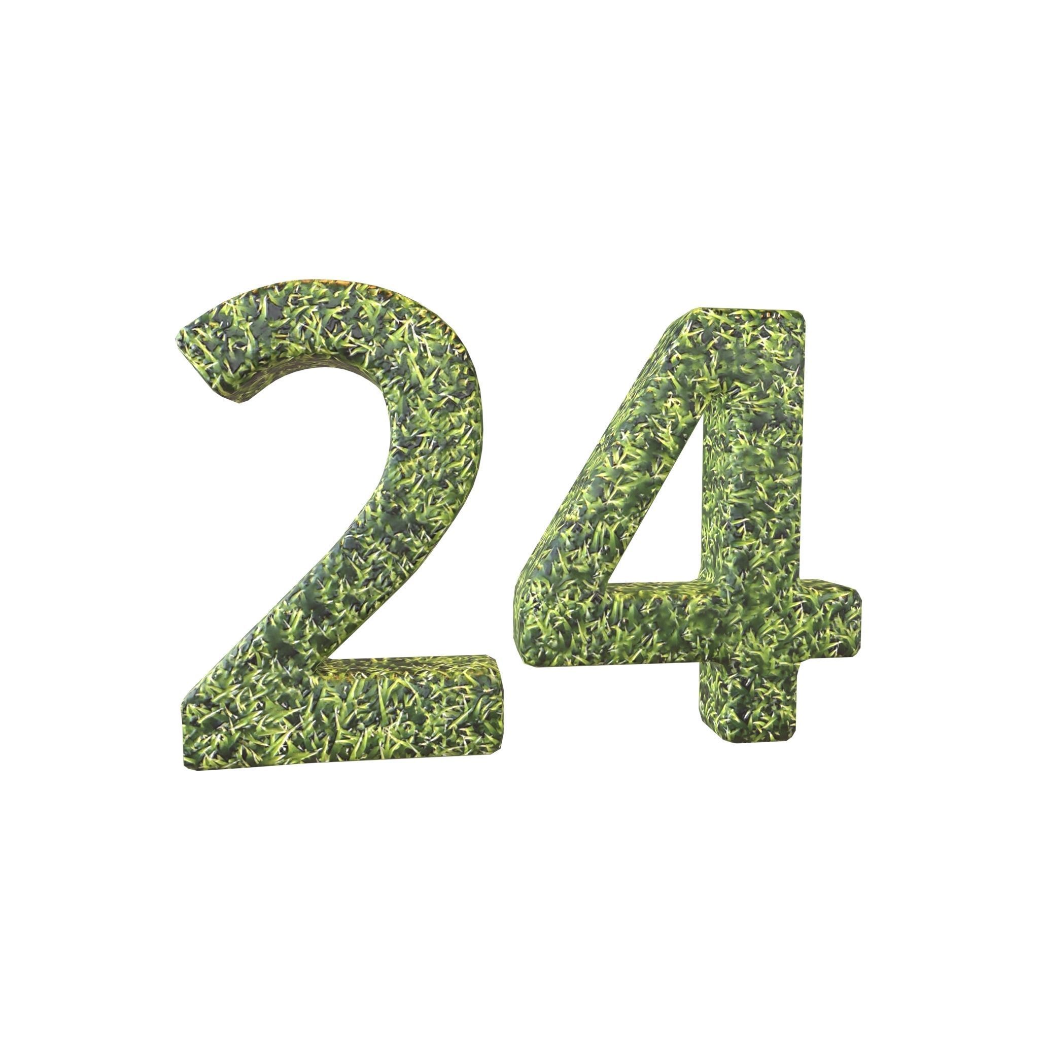 Grass Date Number Pack Vol 1 Low-poly 3D model_65