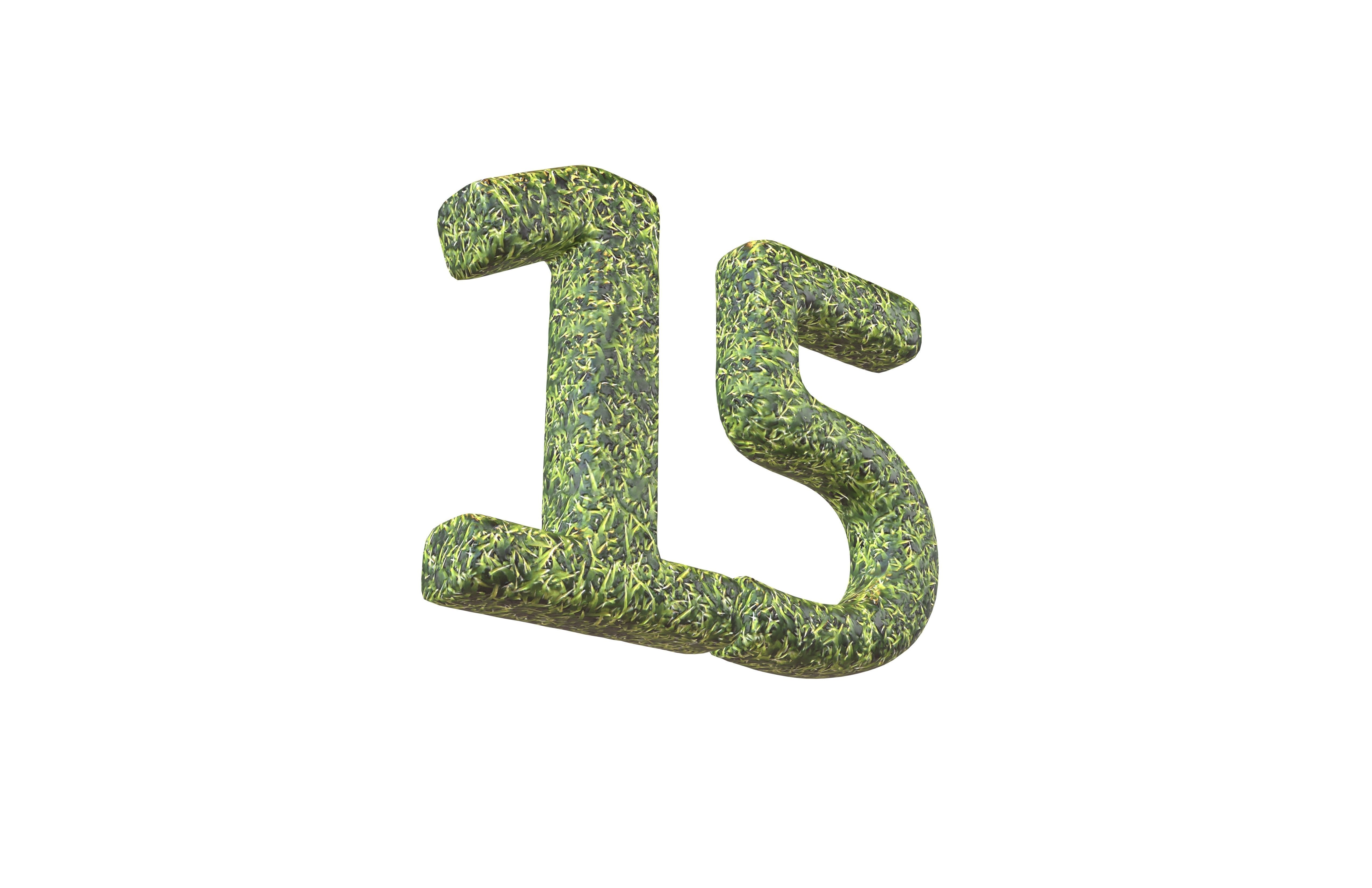 Grass Date Number Pack Vol 1 Low-poly 3D model_91