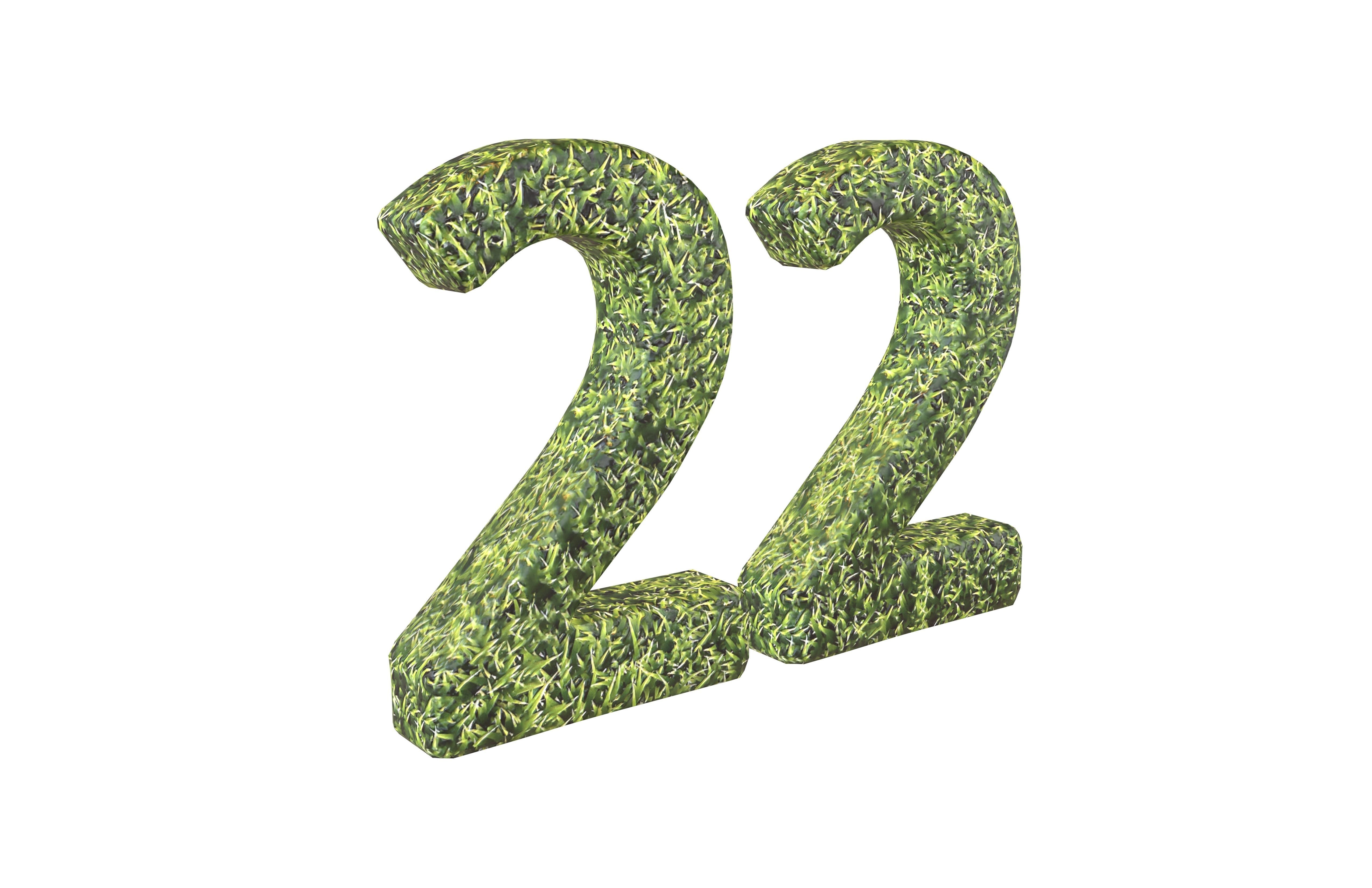 Grass Date Number Pack Vol 1 Low-poly 3D model_104