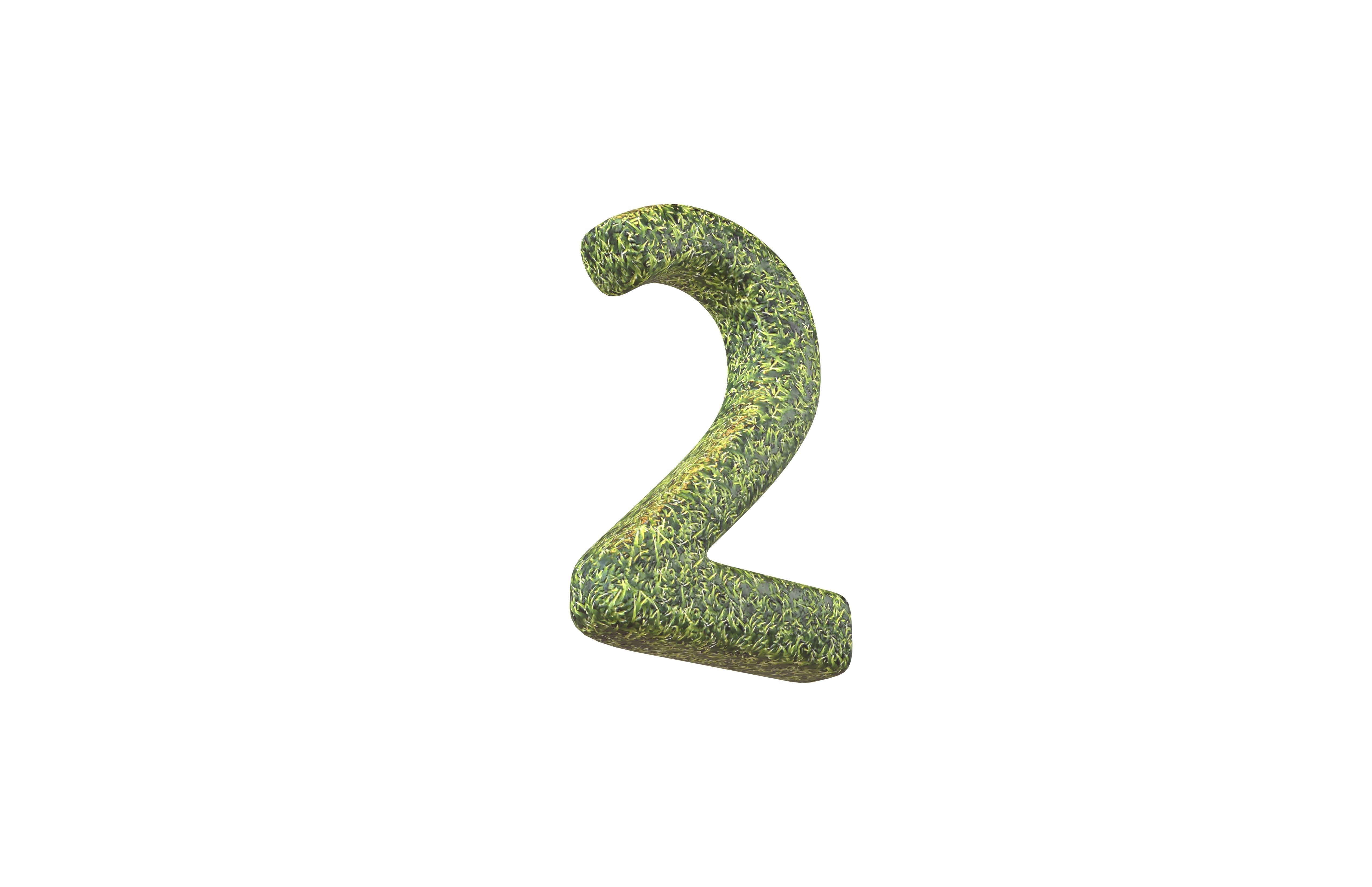 Grass Date Number Pack Vol 1 Low-poly 3D model_15