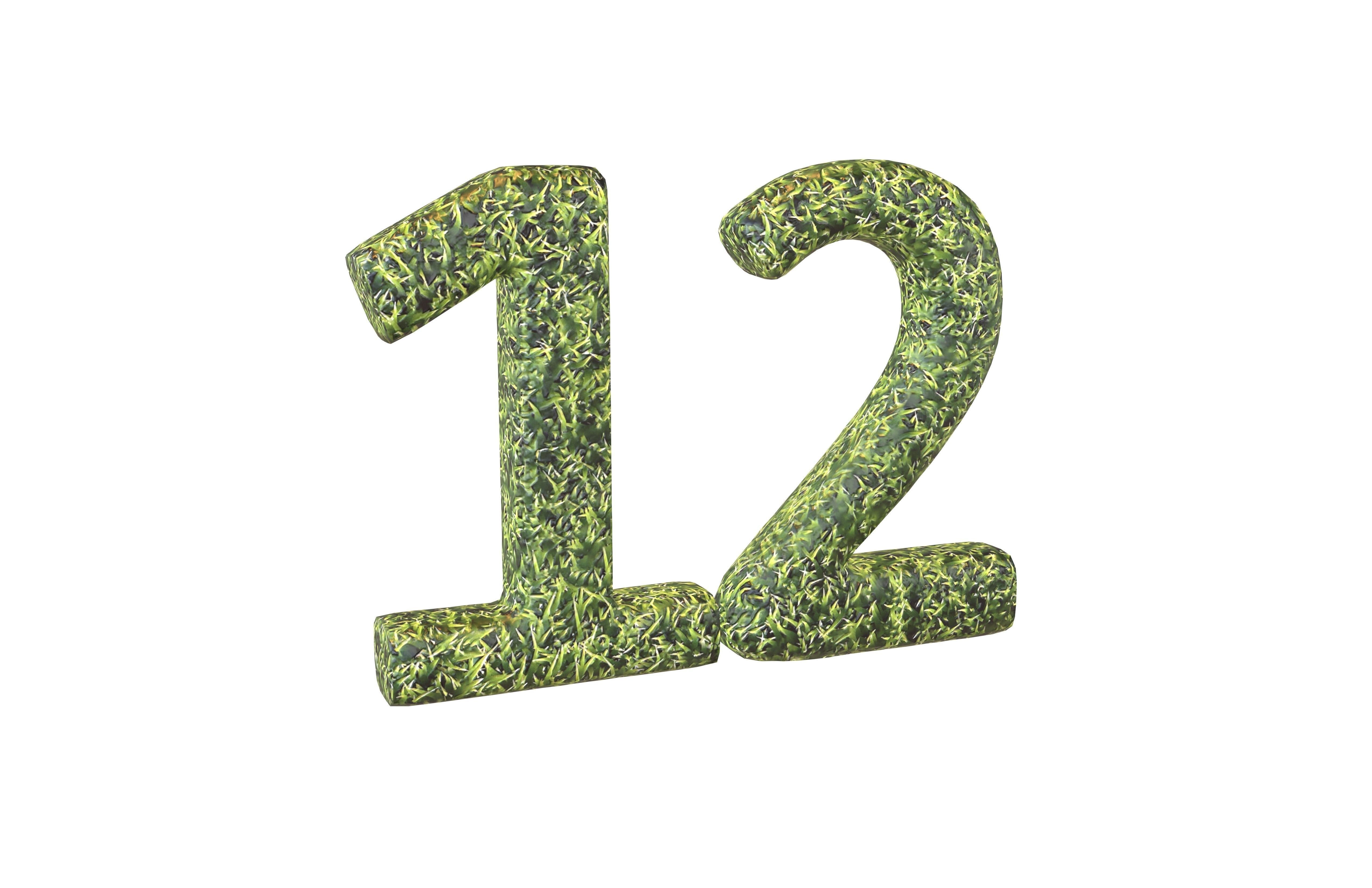 Grass Date Number Pack Vol 1 Low-poly 3D model_84