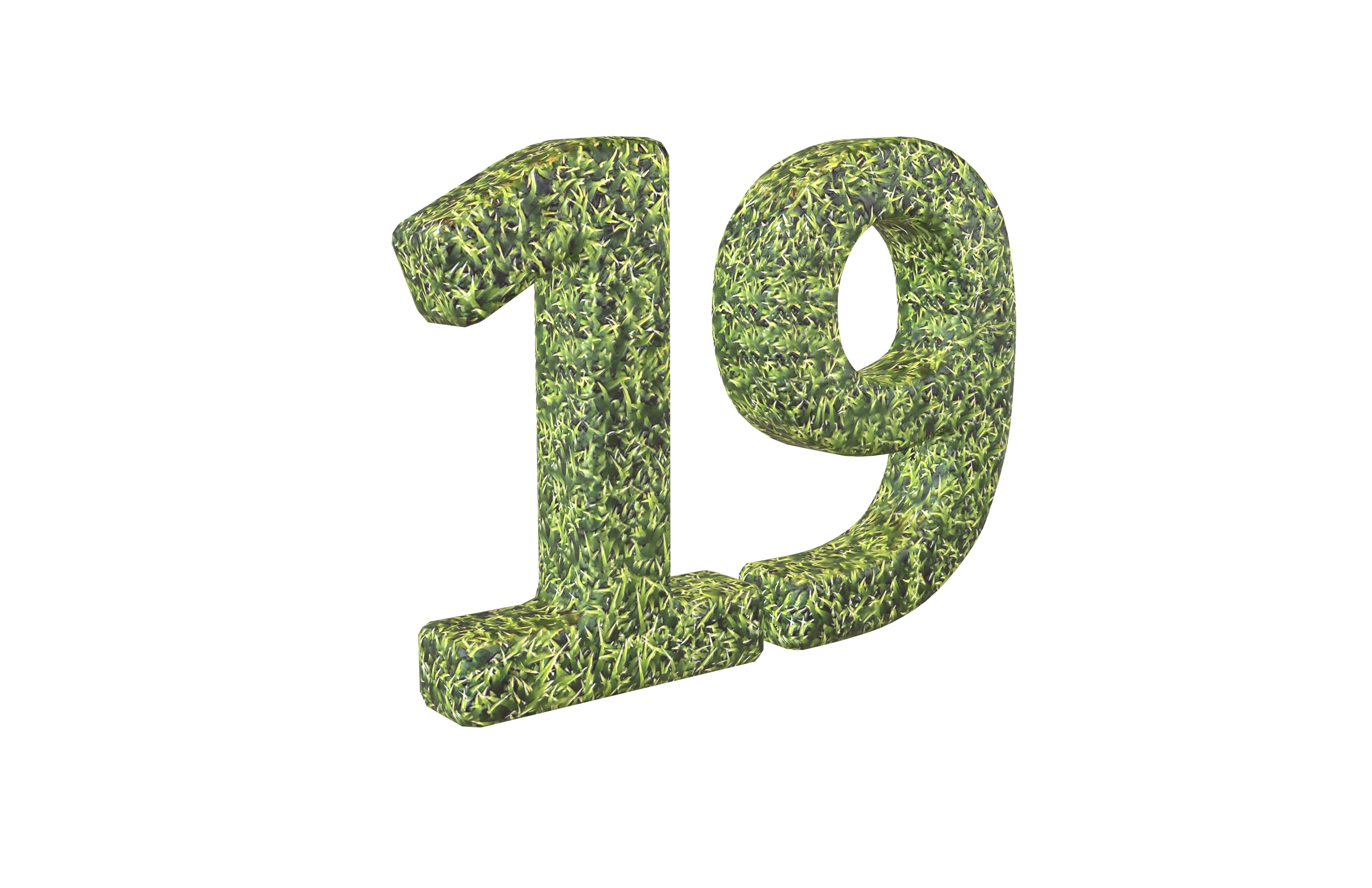 Grass Date Number Pack Vol 1 Low-poly 3D model_77