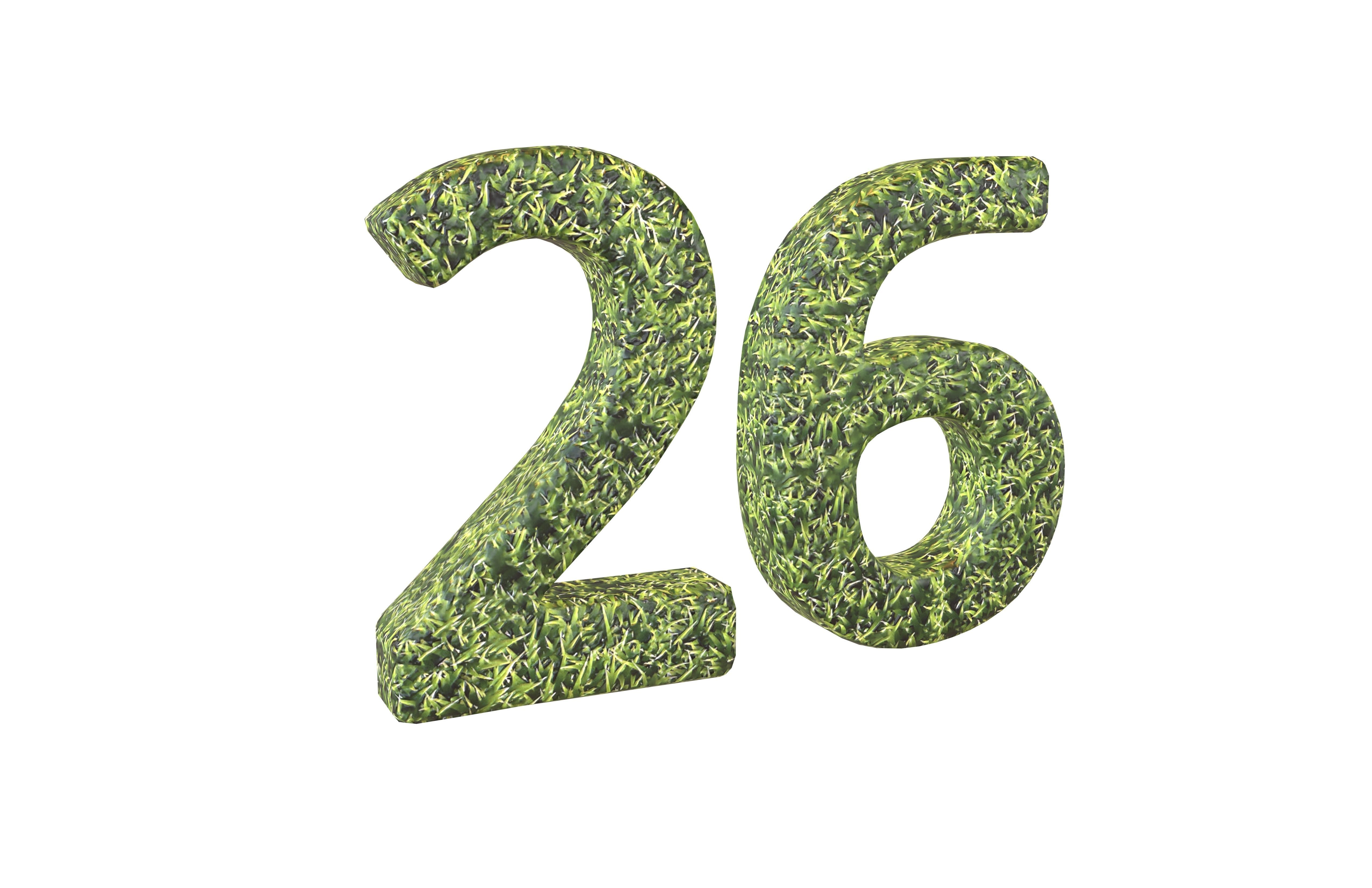 Grass Date Number Pack Vol 1 Low-poly 3D model_116