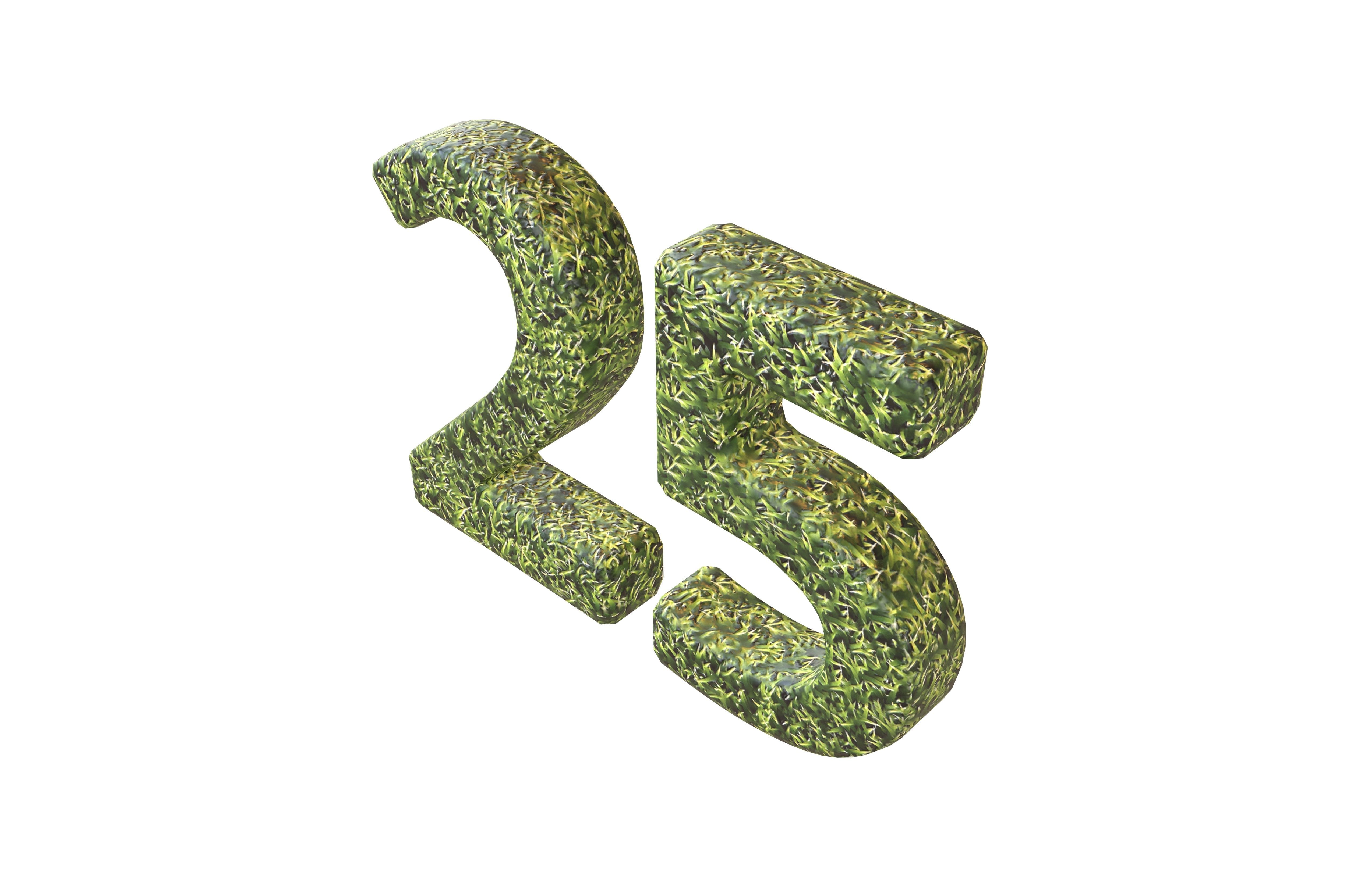 Grass Date Number Pack Vol 1 Low-poly 3D model_114