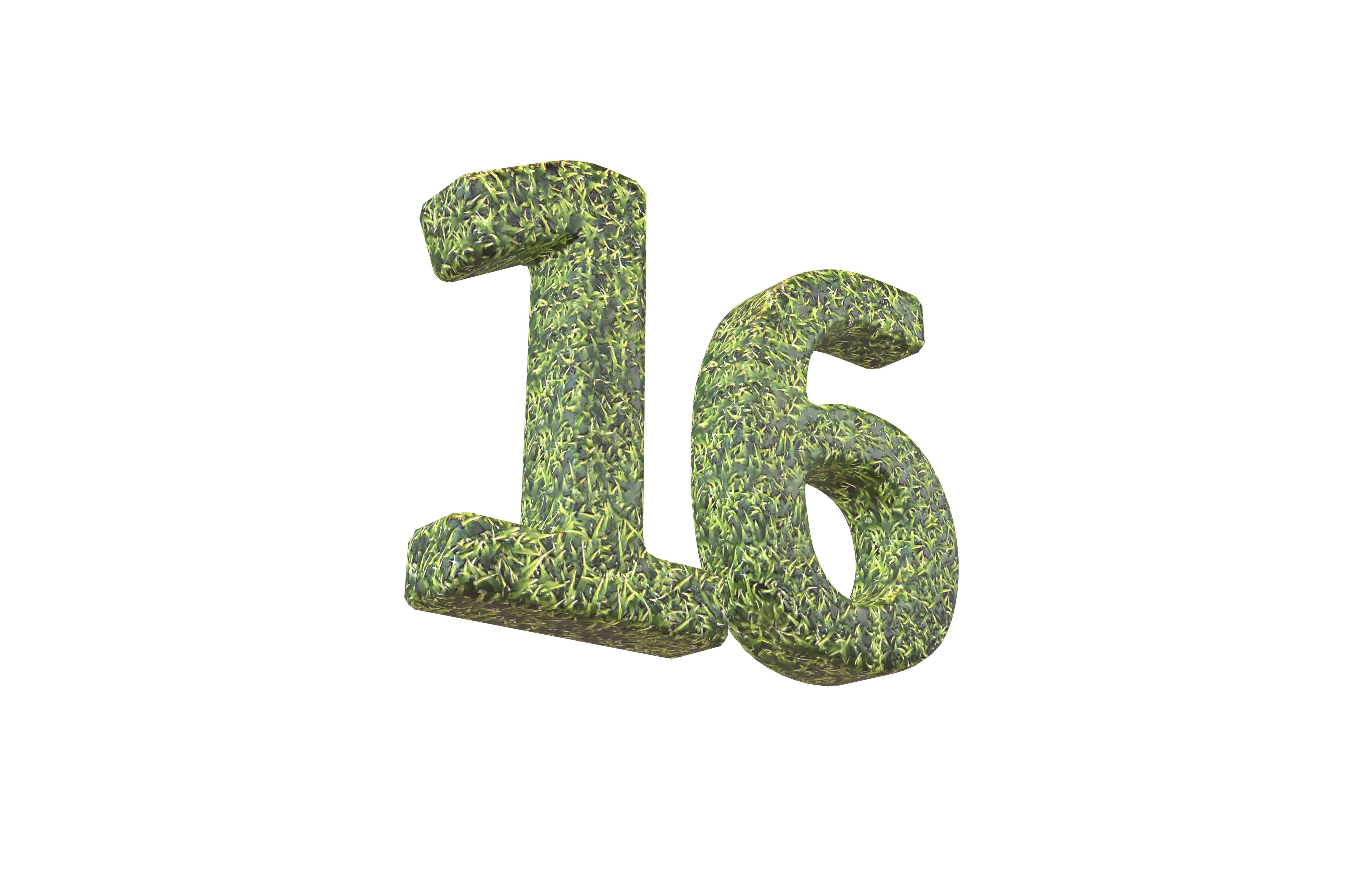 Grass Date Number Pack Vol 1 Low-poly 3D model_92
