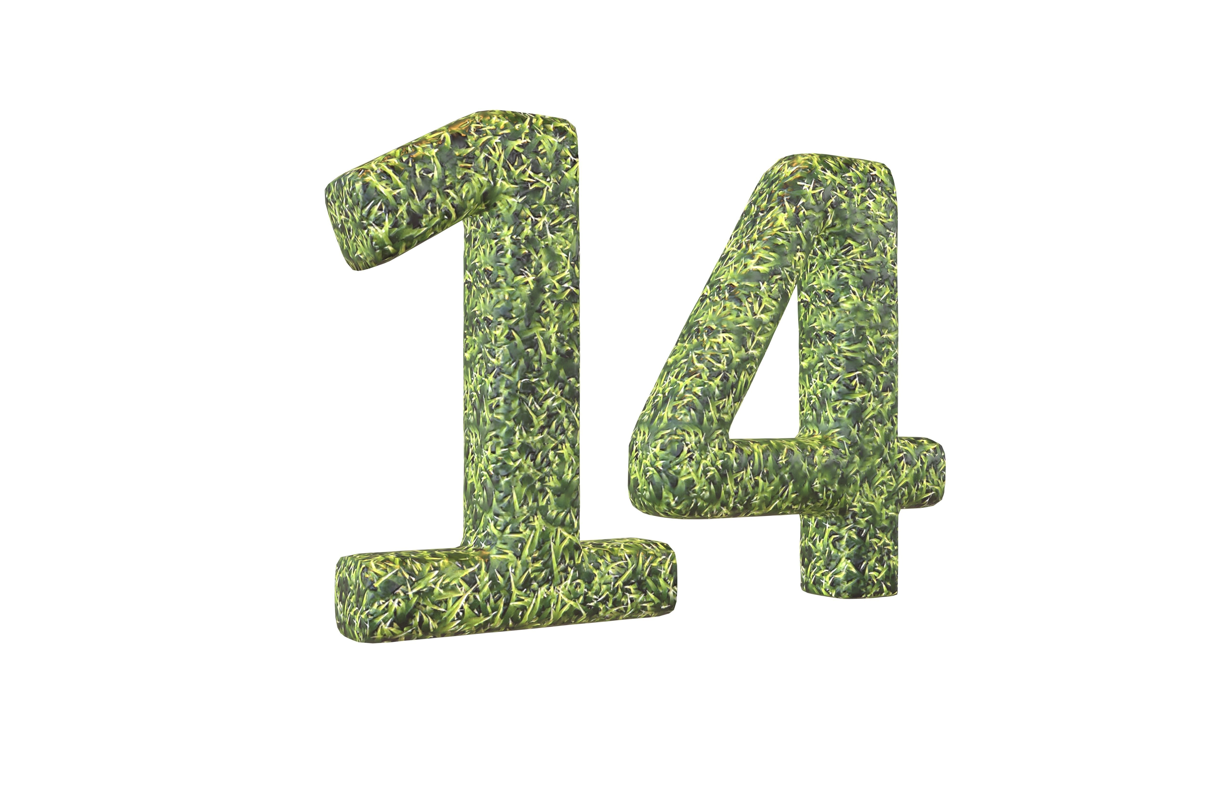 Grass Date Number Pack Vol 1 Low-poly 3D model_85