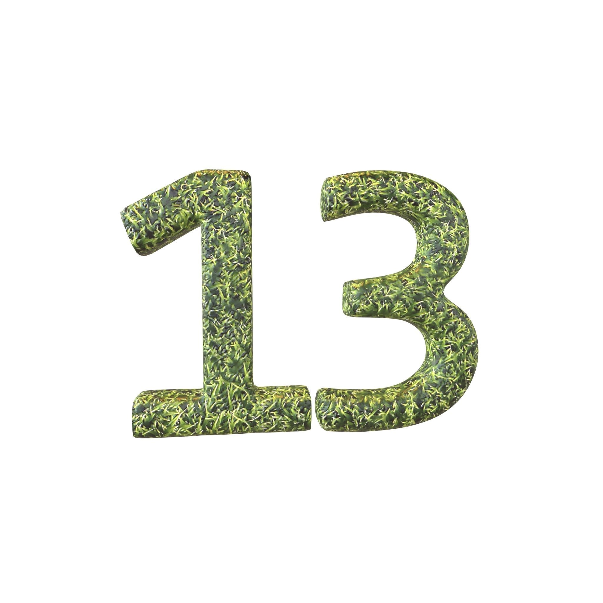 Grass Date Number Pack Vol 1 Low-poly 3D model_1