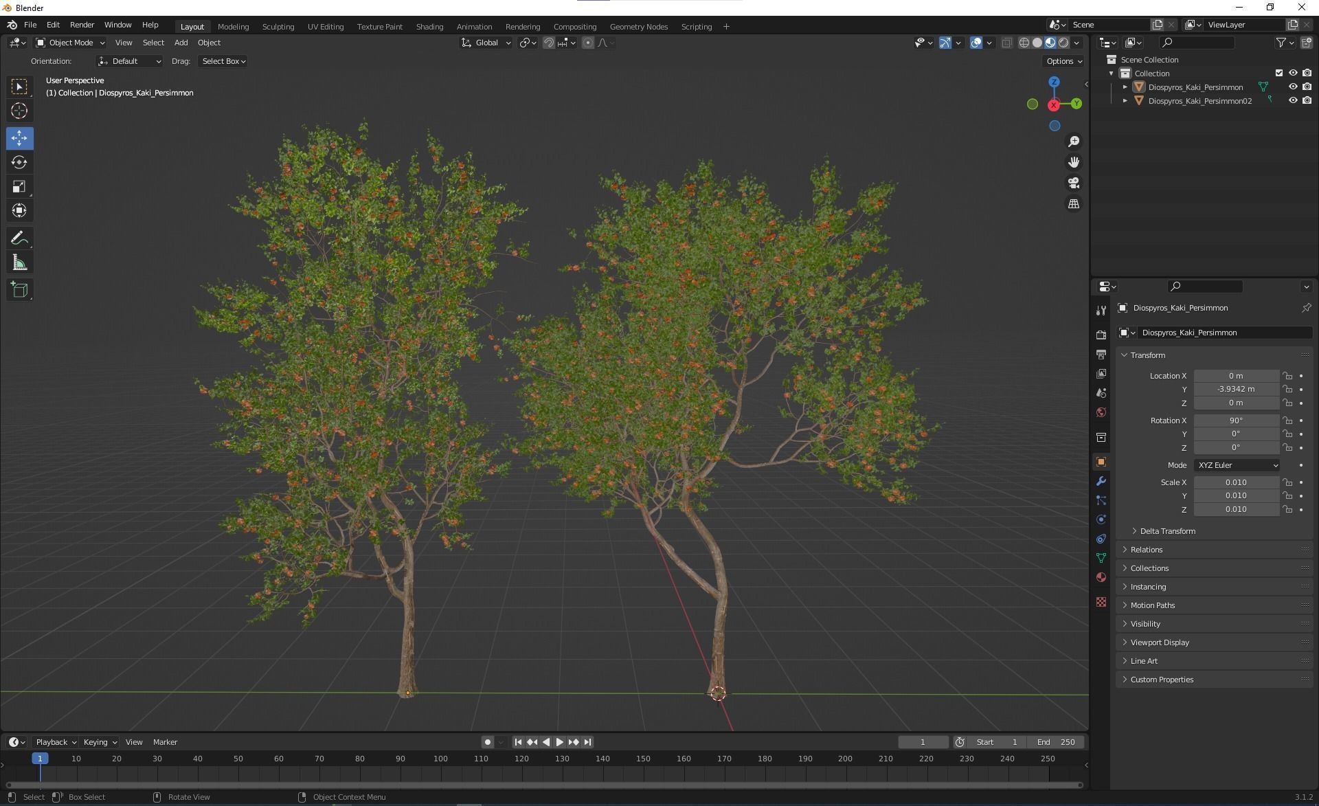 New Plant High detail Diospyros Kaki Persimmon 3D model_6