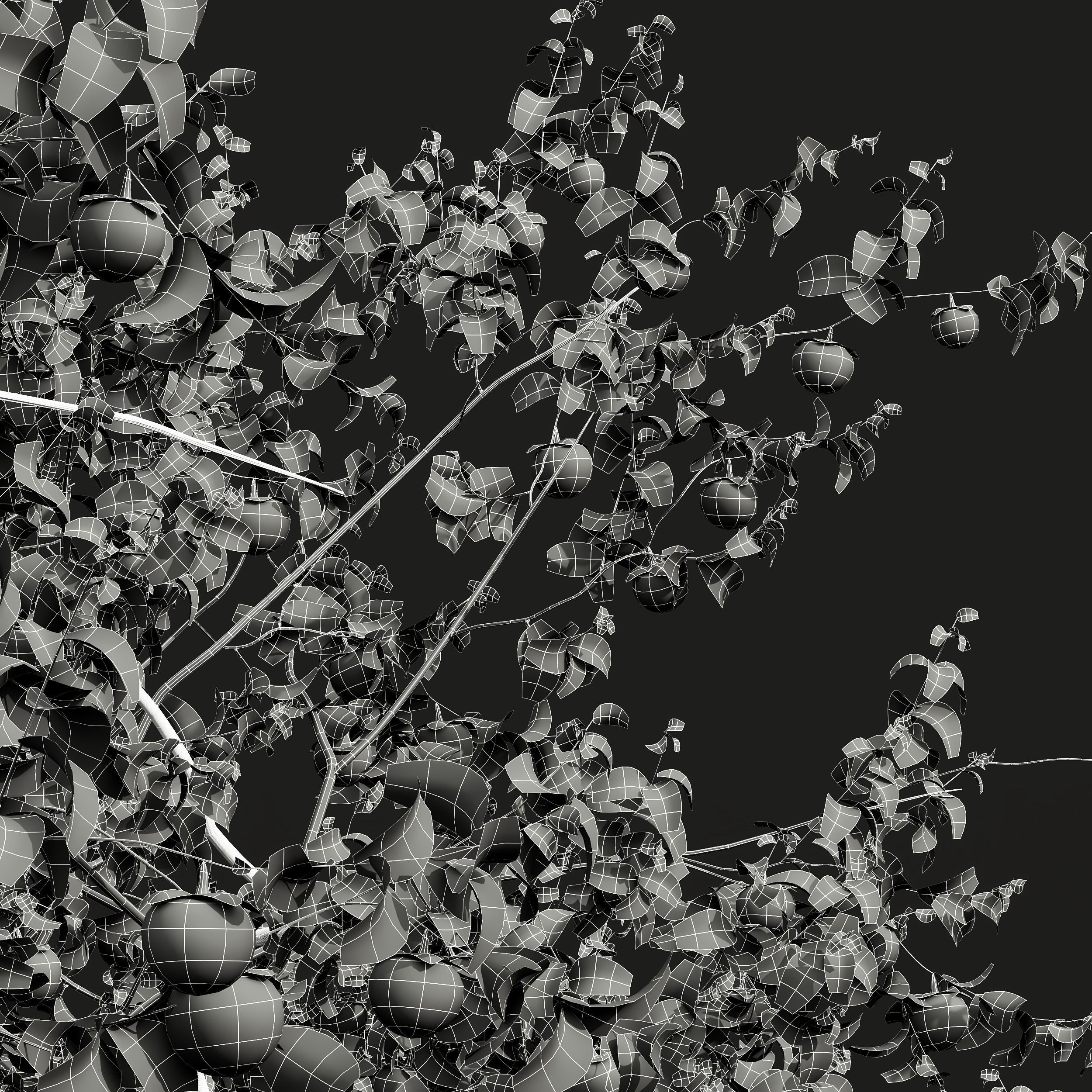 New Plant High detail Diospyros Kaki Persimmon 3D model_5