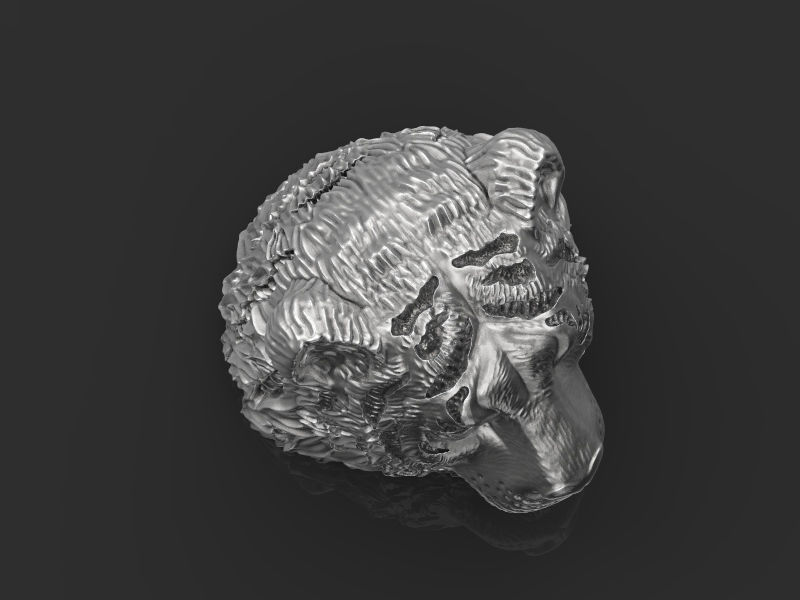 Tiger head 3d model for 3d printing 3D print model 3D print model_20