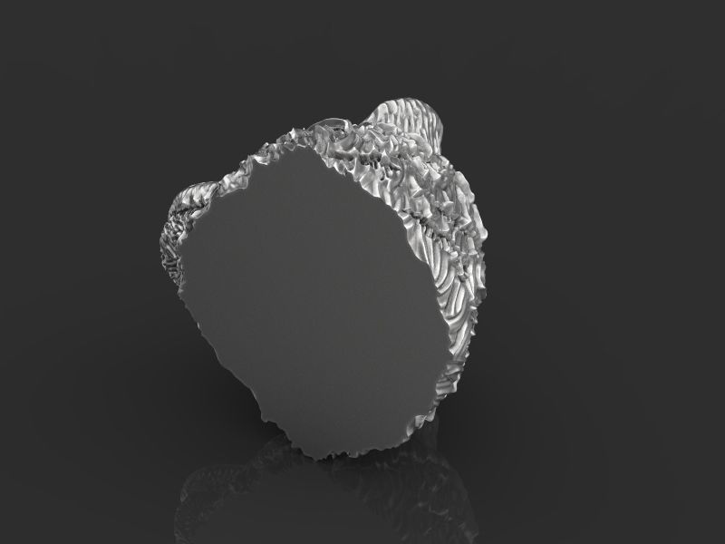 Tiger head 3d model for 3d printing 3D print model 3D print model_23