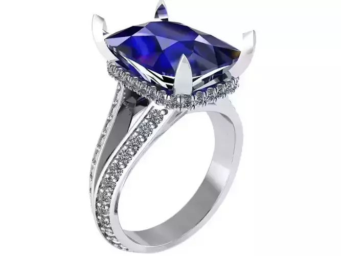 Rectangle Cushion Diamond Ring 0640