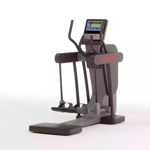 Life Fitness Exercise Stepper
