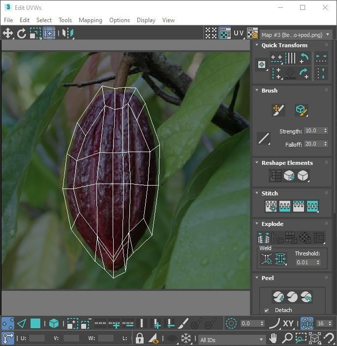 Nuts Collection 3D model_125