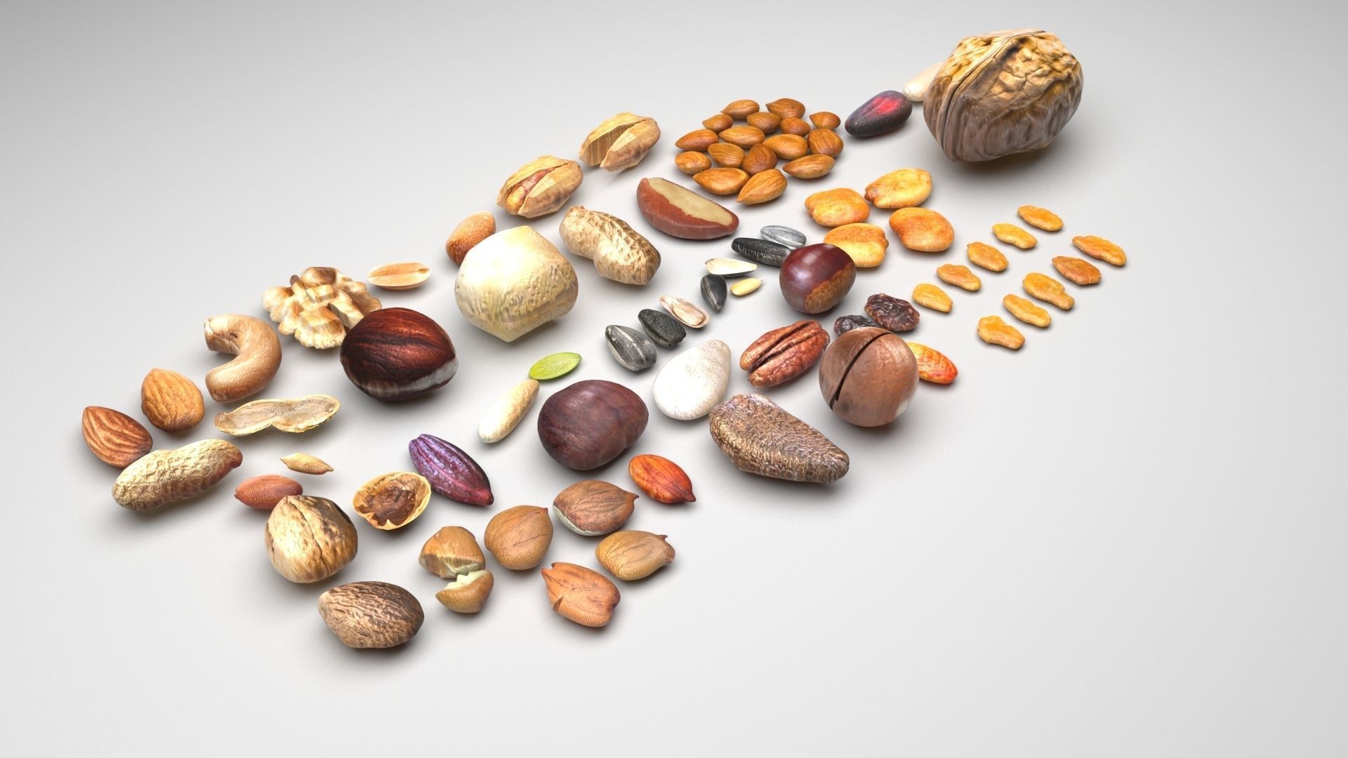 Nuts Collection 3D model_3