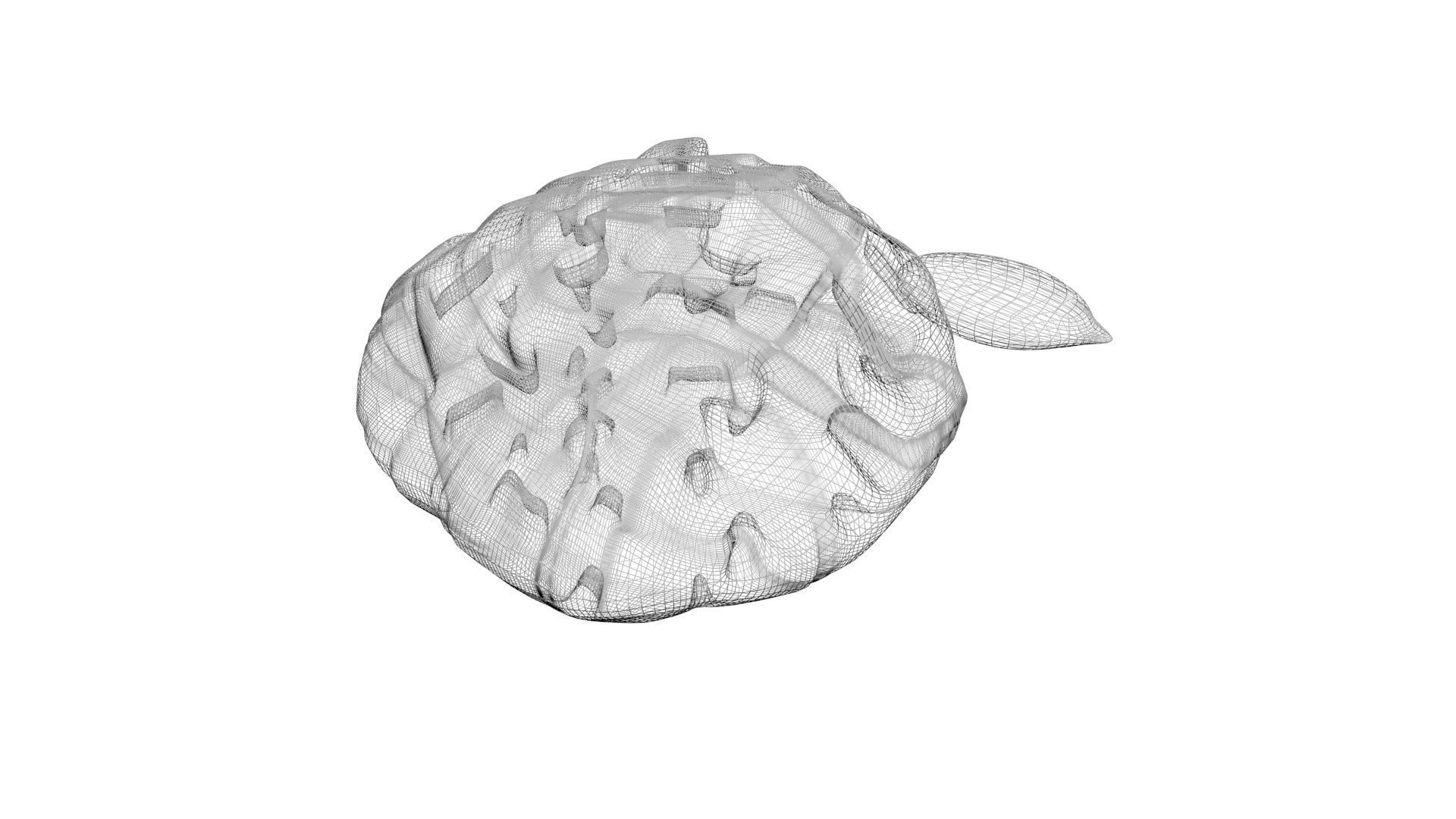 Nuts Collection 3D model_61