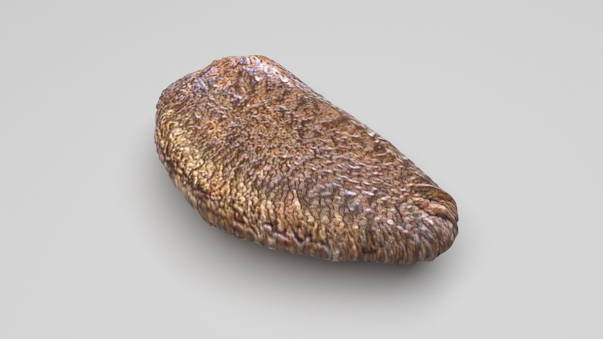 Nuts Collection 3D model_56