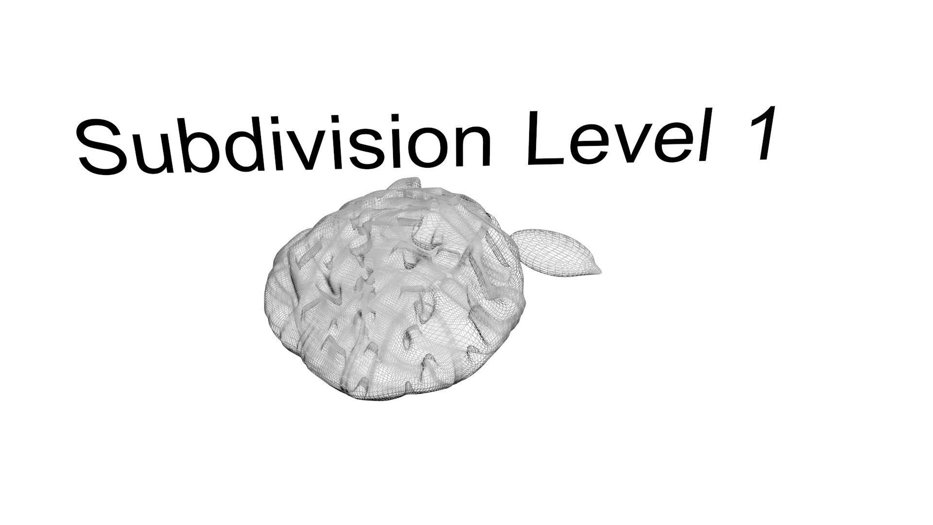 Nuts Collection 3D model_62