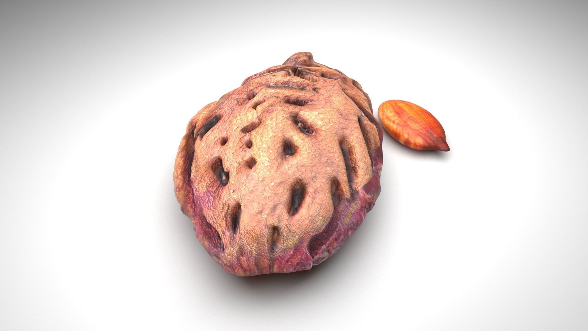 Nuts Collection 3D model_60