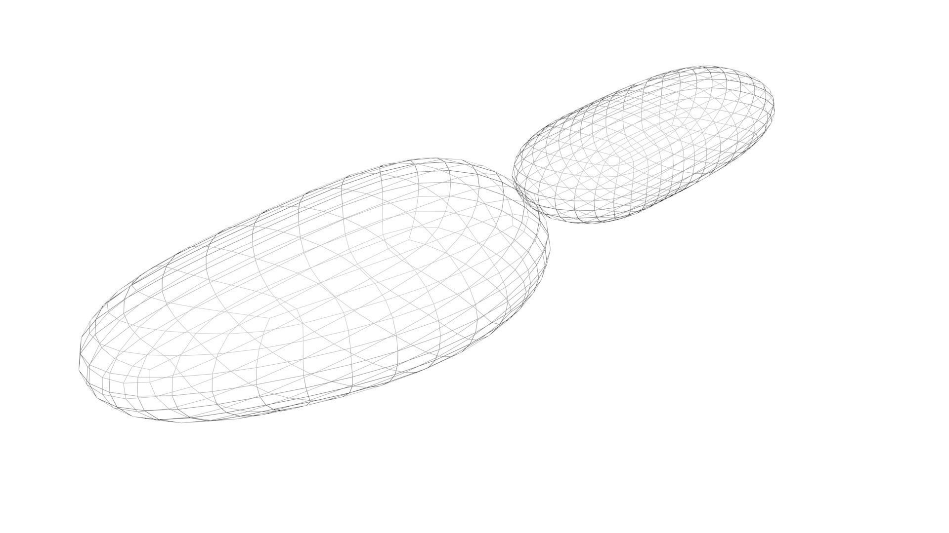 Nuts Collection 3D model_77