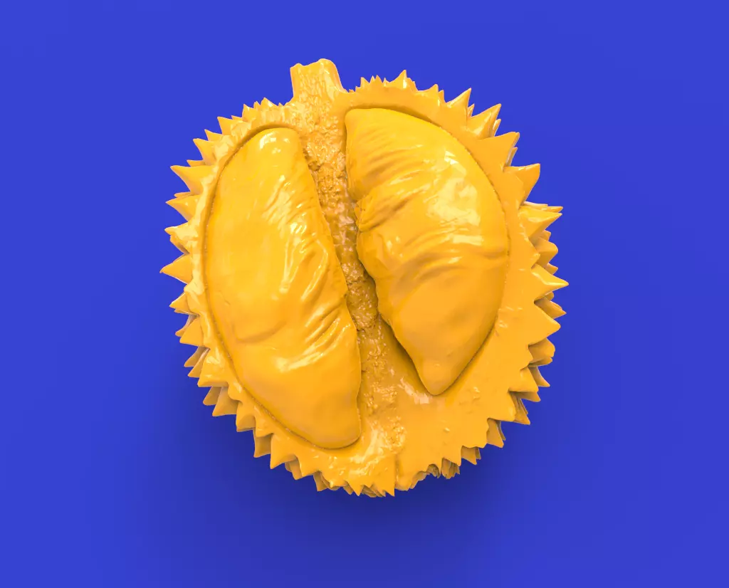 Durian fruit 3D print model_0