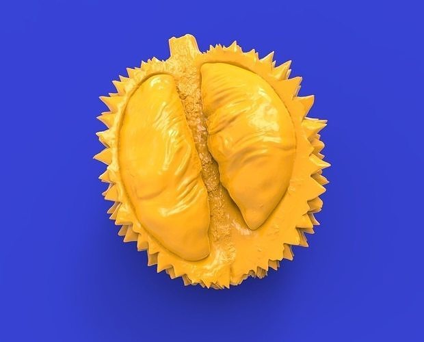 Durian fruit 3D print model