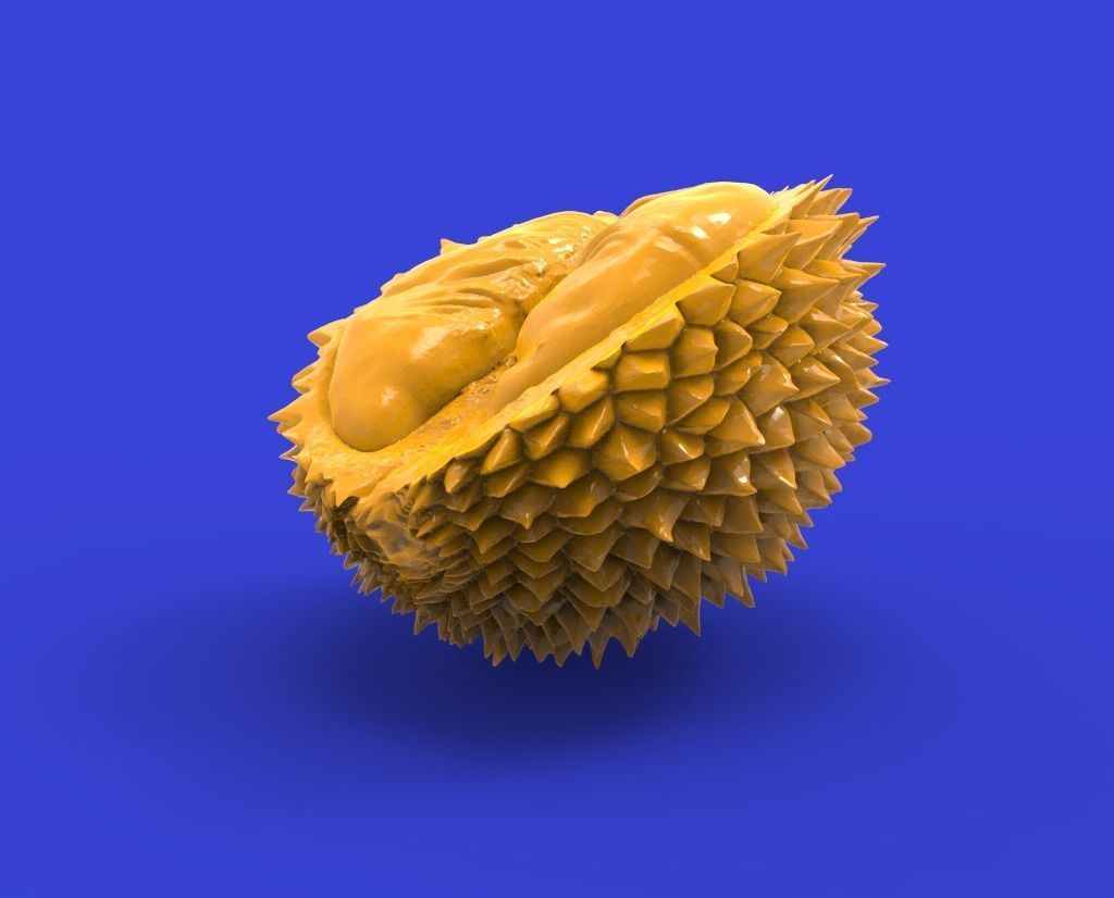 Durian fruit 3D print model_1