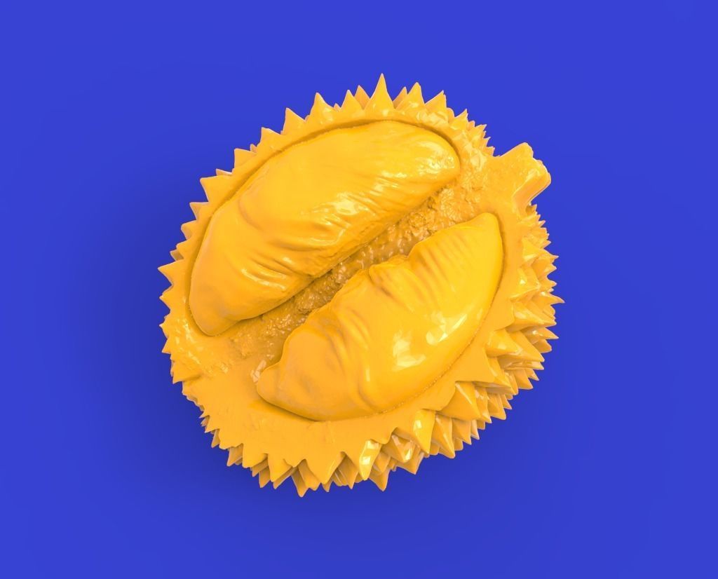 Durian fruit 3D print model_3