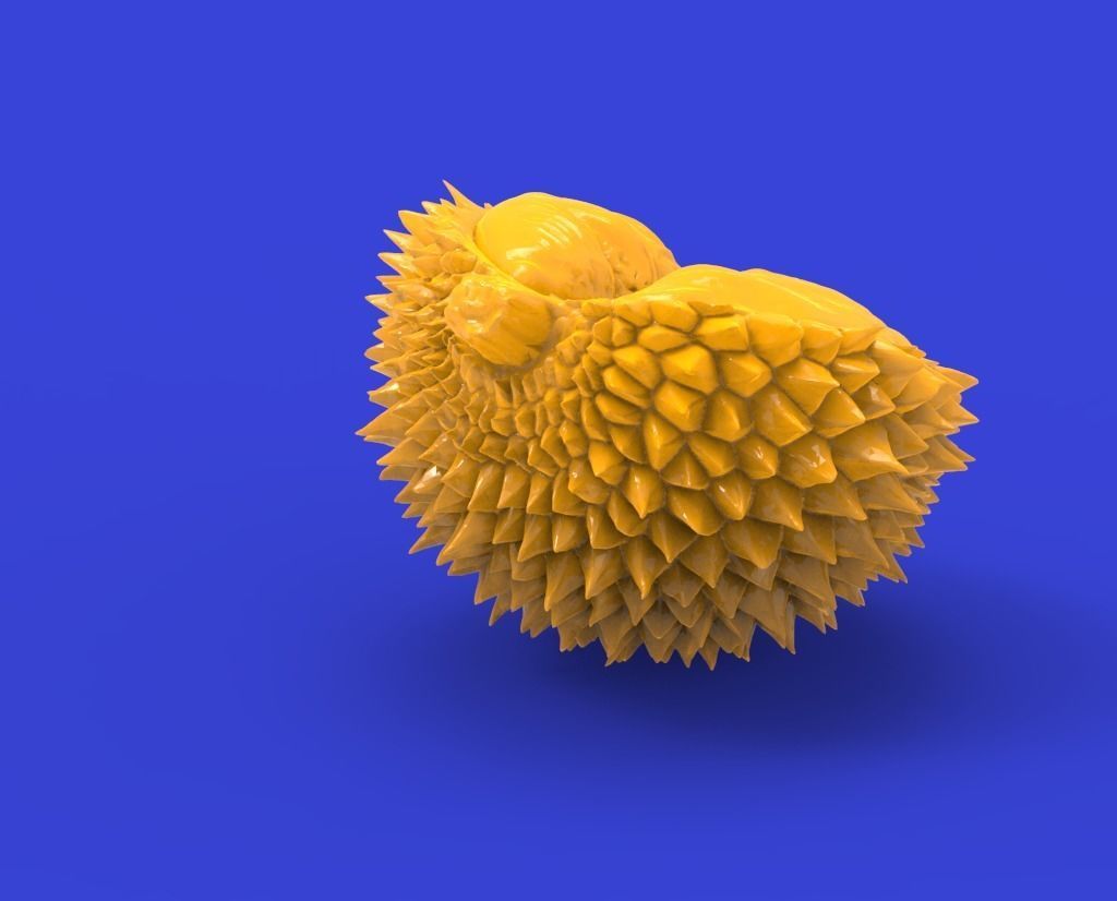 Durian fruit 3D print model_2